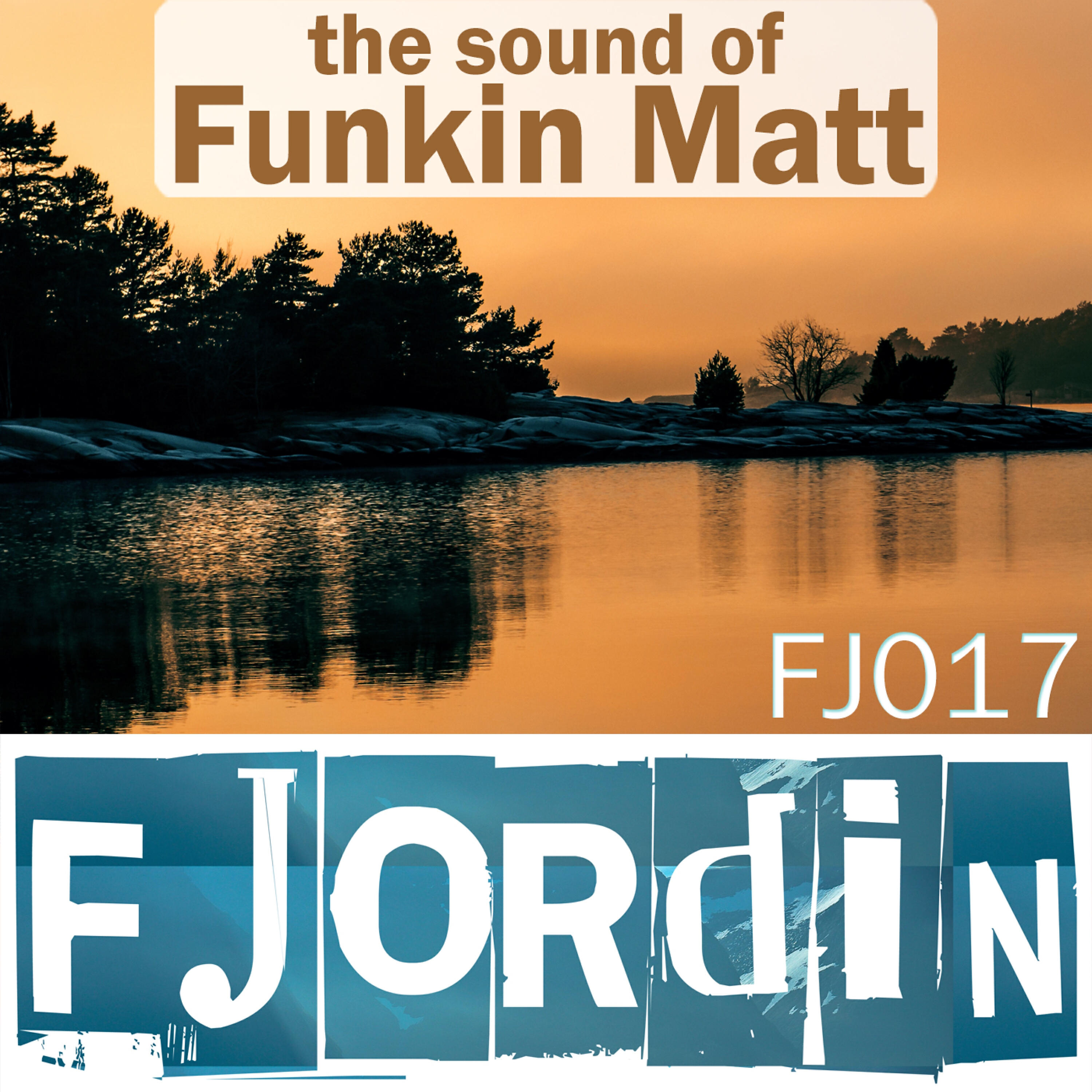 Funkin Matt - Foxy