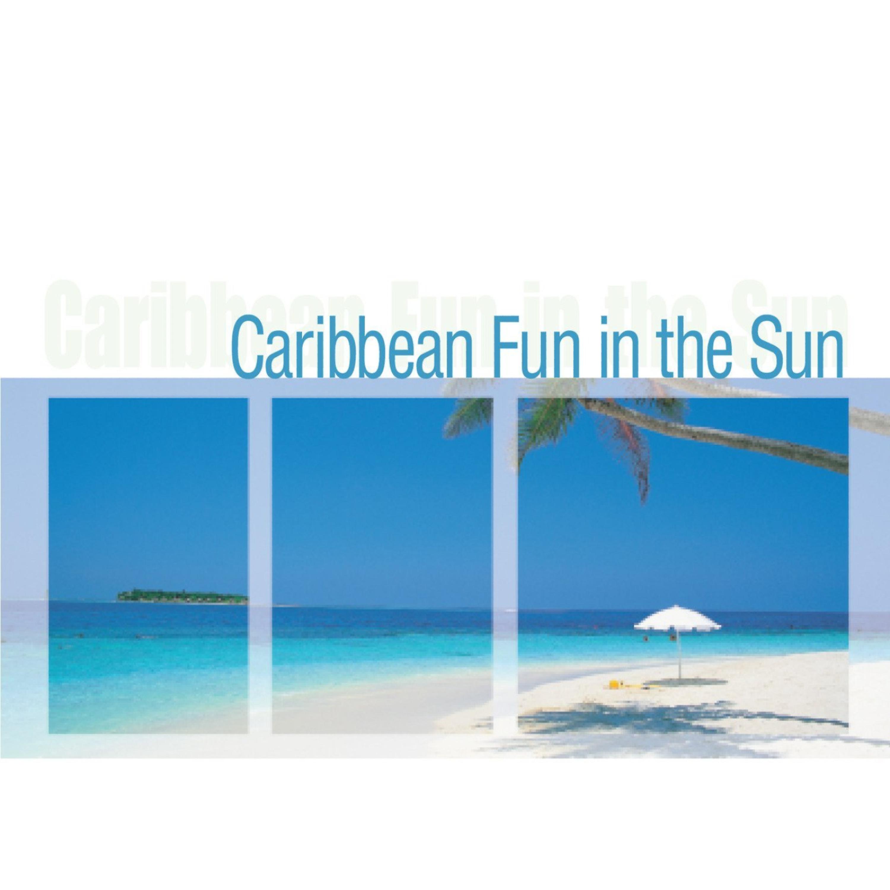 Постер альбома Caribbean Fun In The Sun