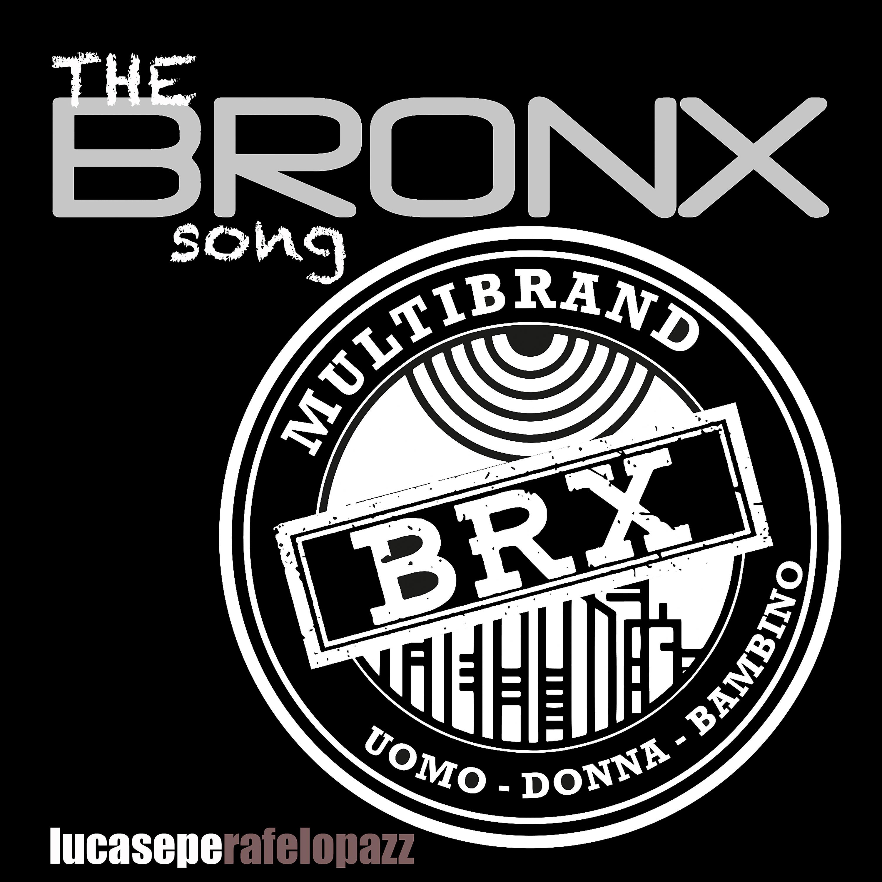 Постер альбома The Bronx Song