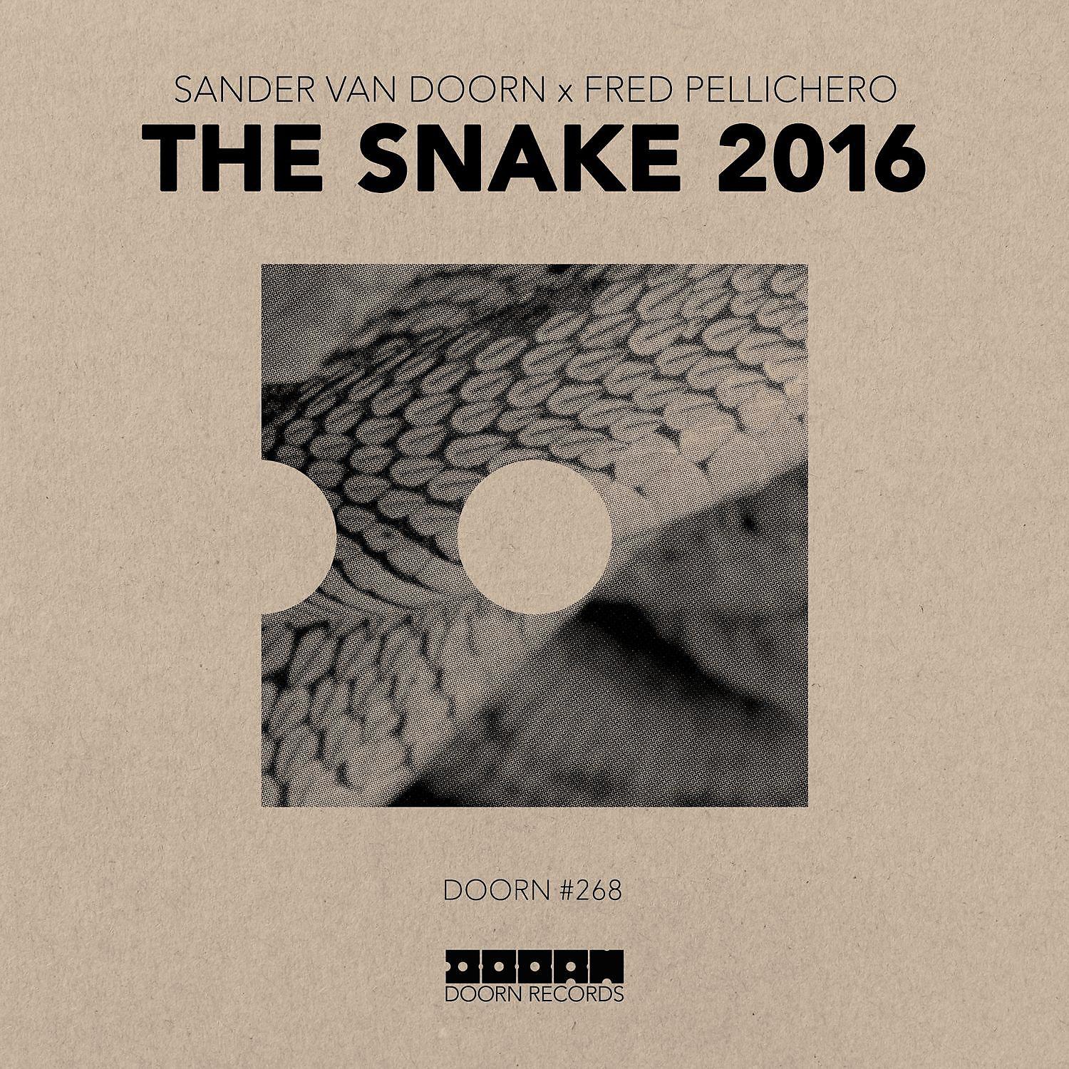 Постер альбома The Snake 2016
