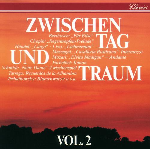 Постер альбома Zwischen Tag Und Traum Vol.2