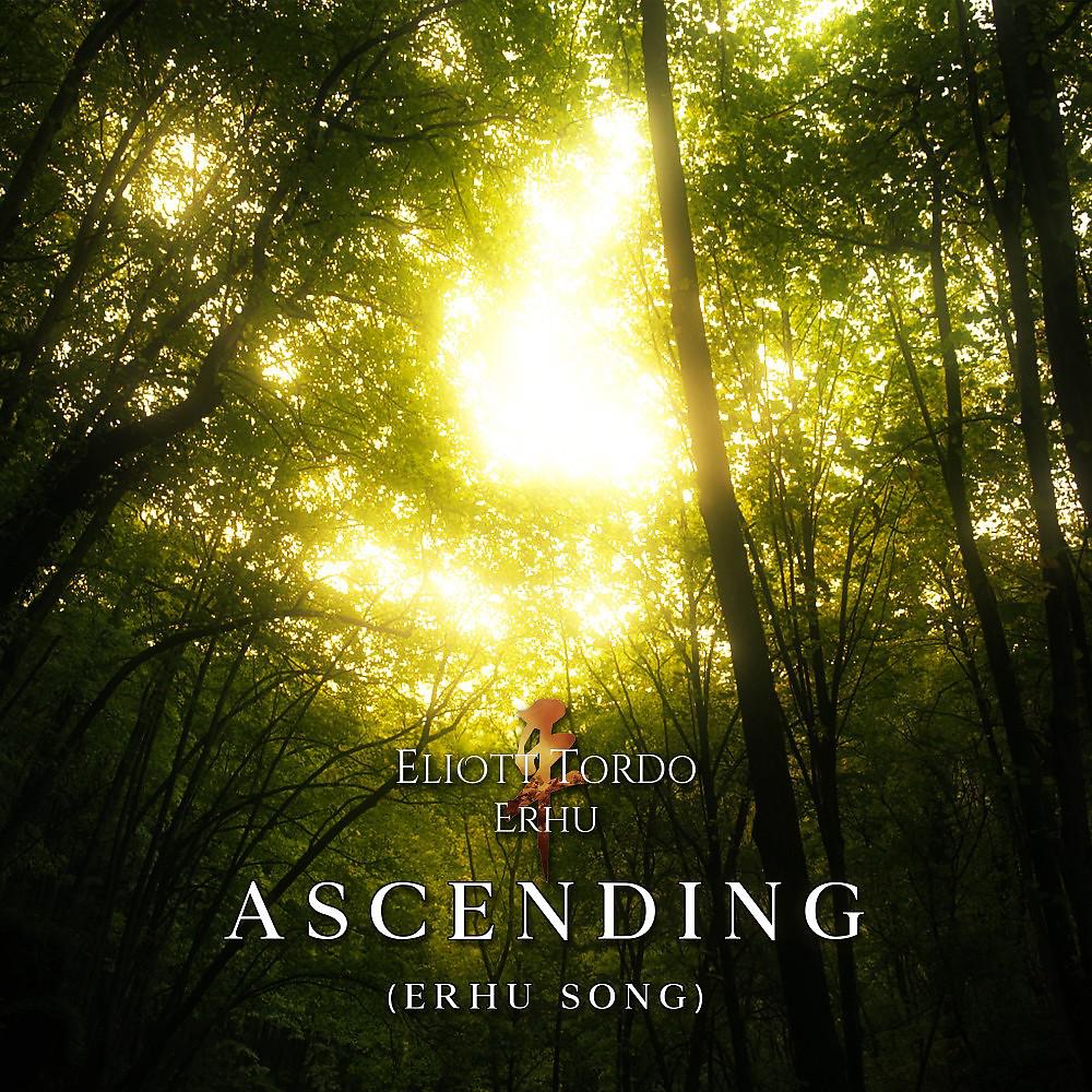 Постер альбома Ascending (Erhu Song)