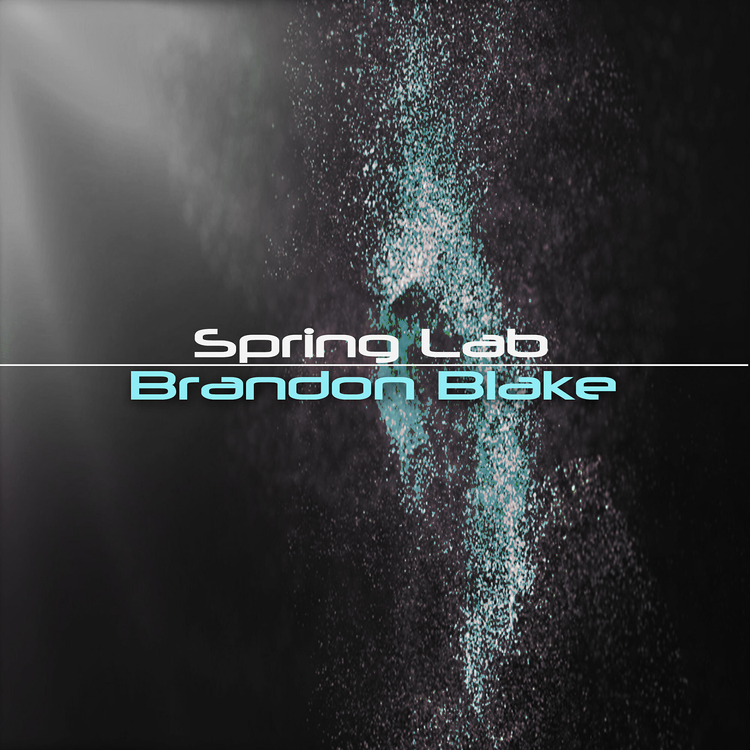 Brandon Blake - Spring Lab