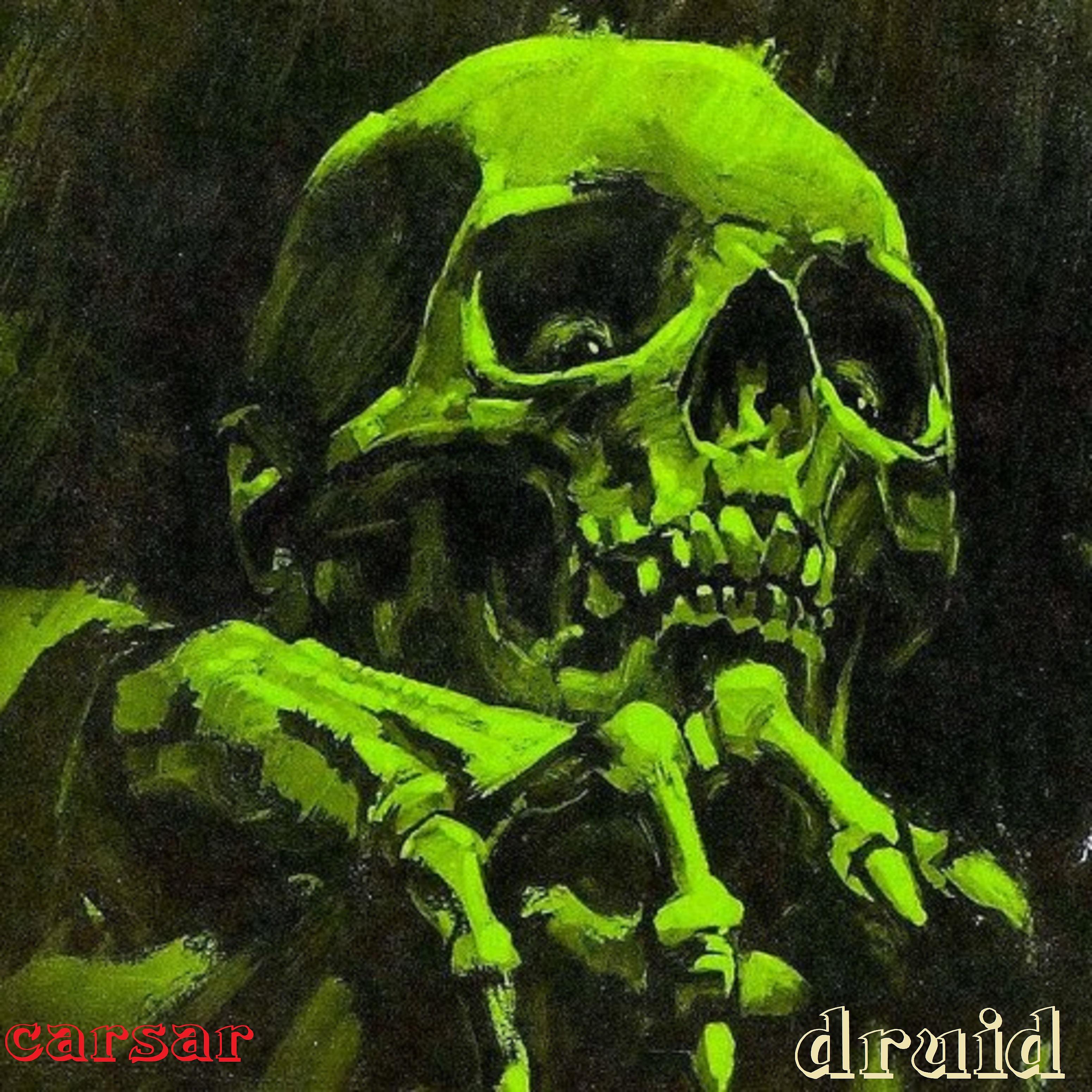 Постер альбома Druid