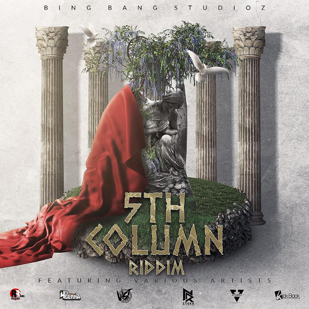 Постер альбома 5th Column Riddim
