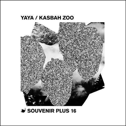 Kasbah Zoo - Sighs