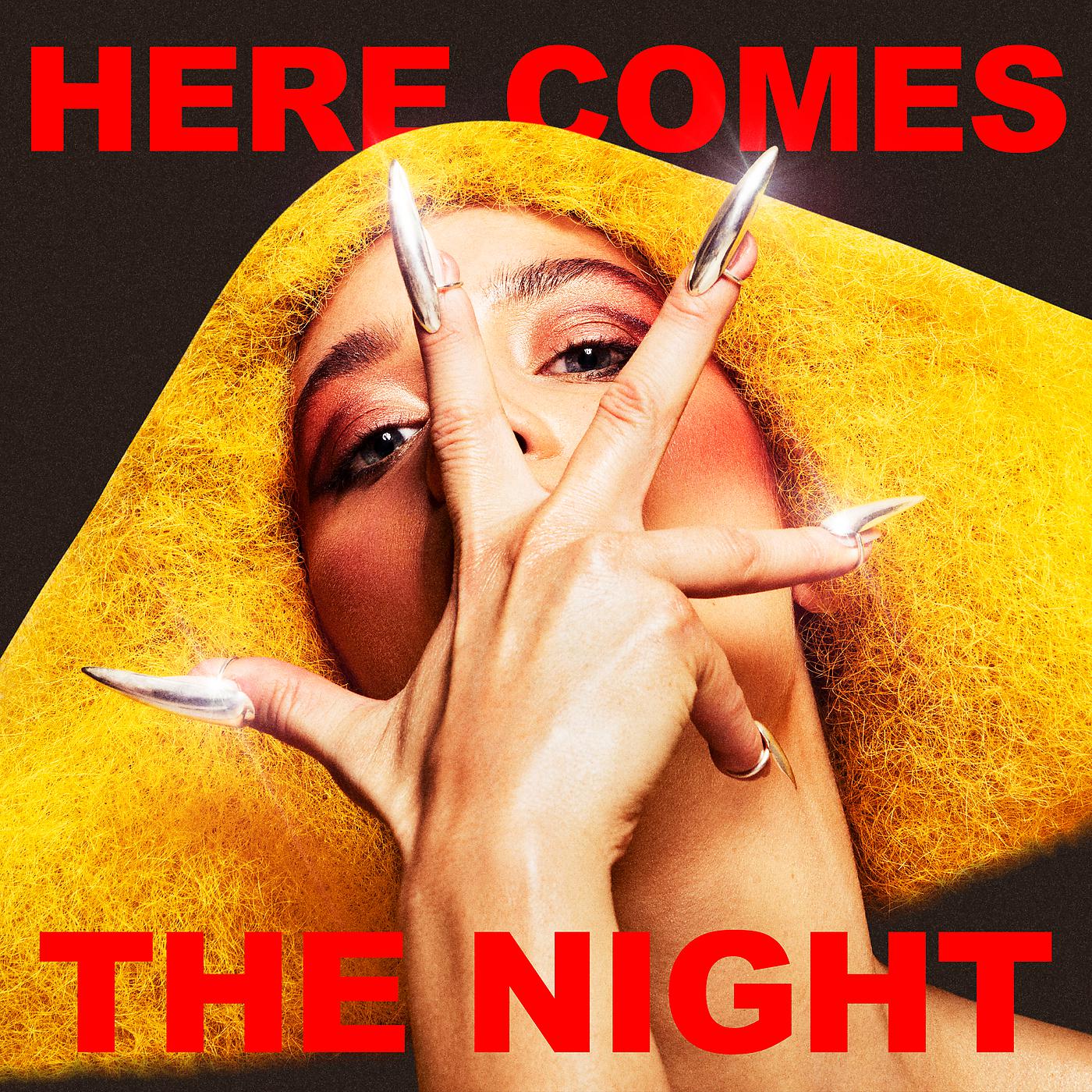 Постер альбома Here Comes The Night