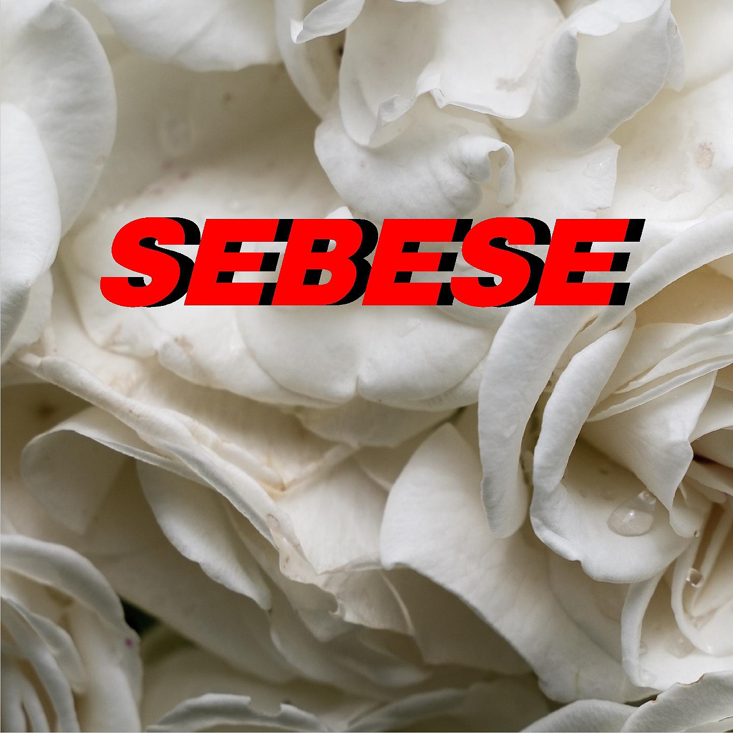 Постер альбома Sebese