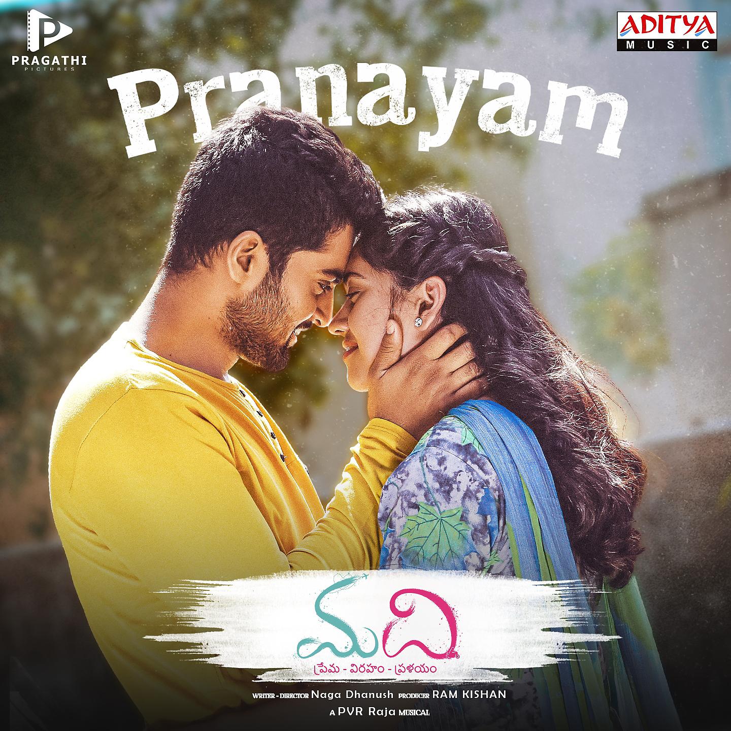 Постер альбома Pranayam