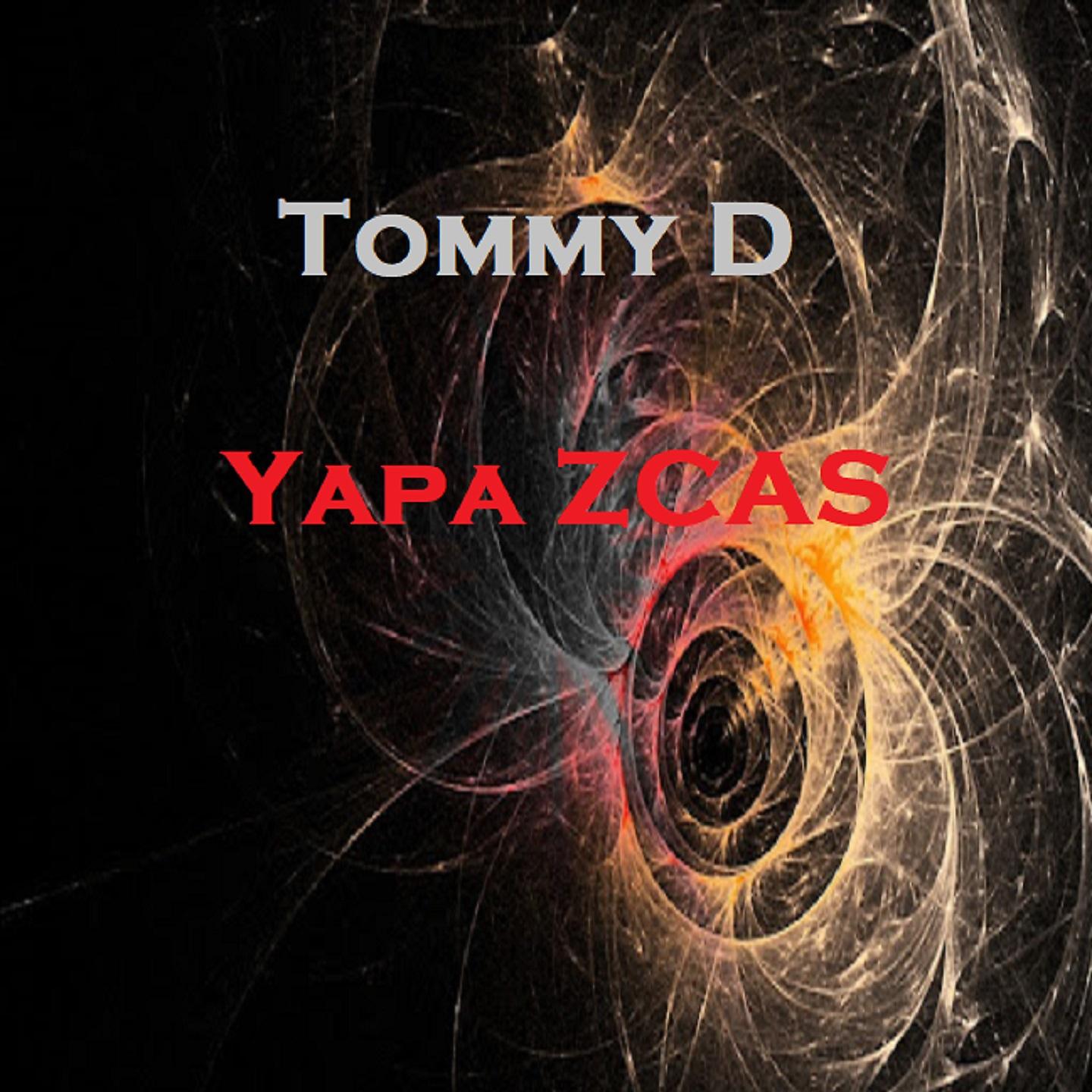 Постер альбома Yapa Zcas