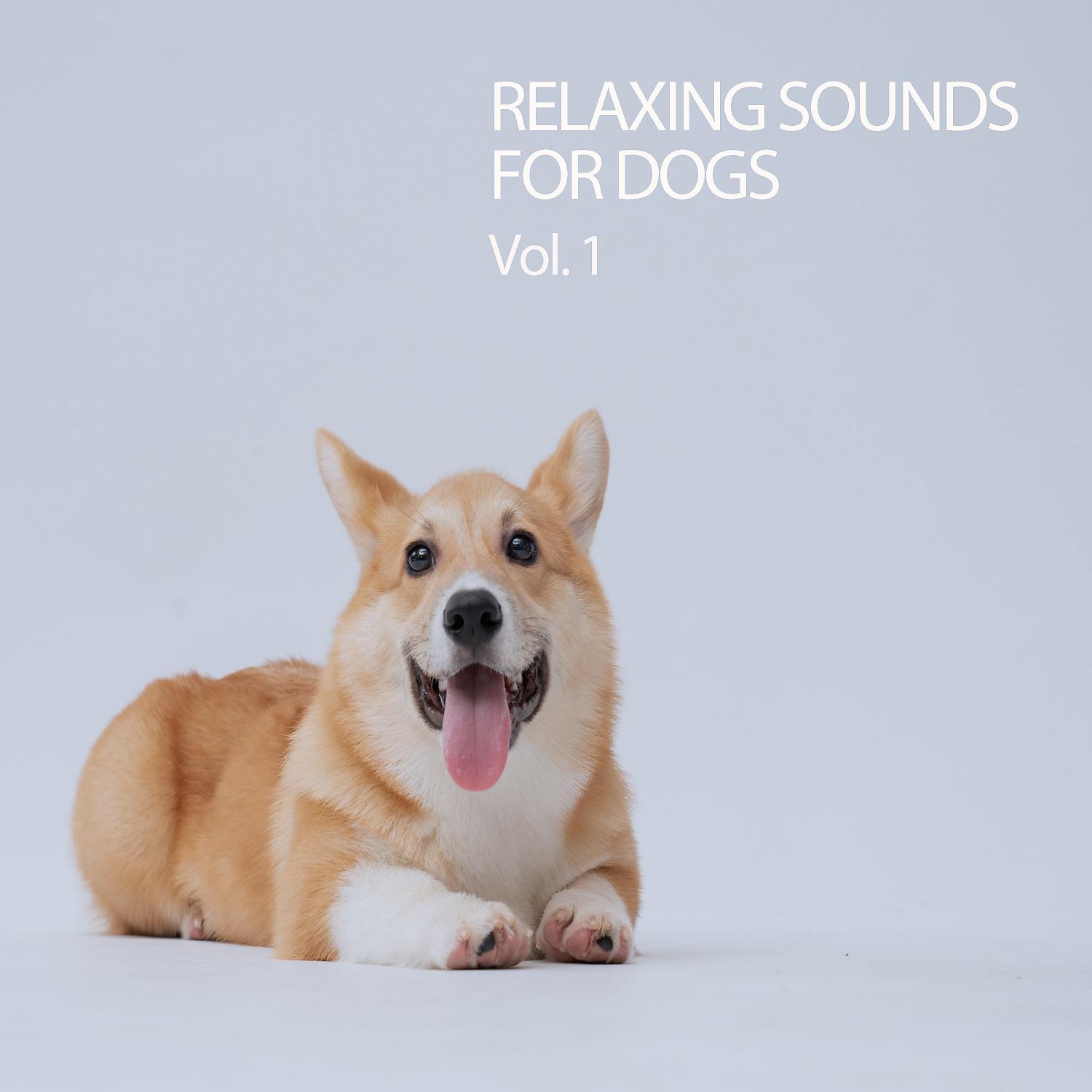 Постер альбома Relaxing Sounds For Dogs Vol. 1
