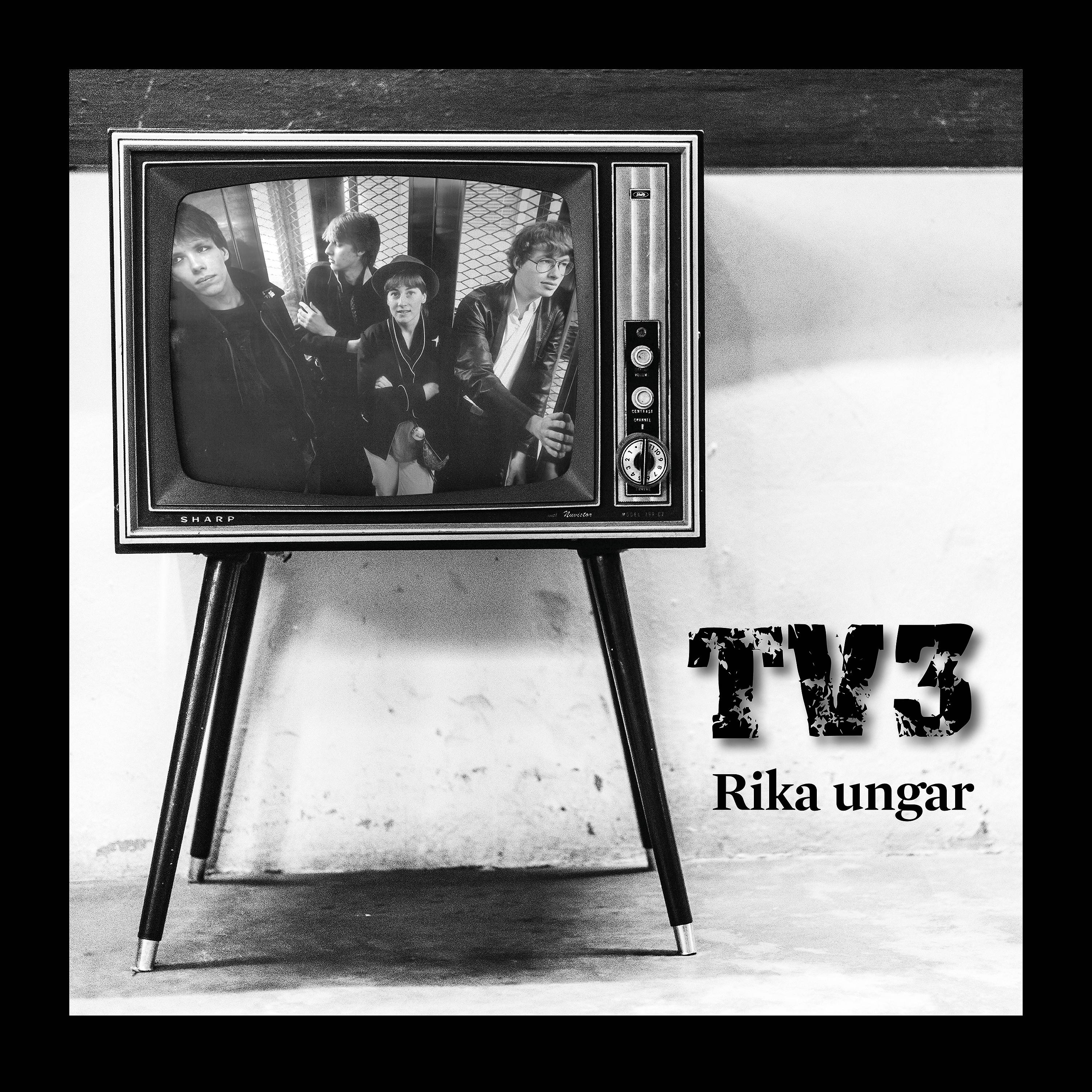Постер альбома Rika ungar