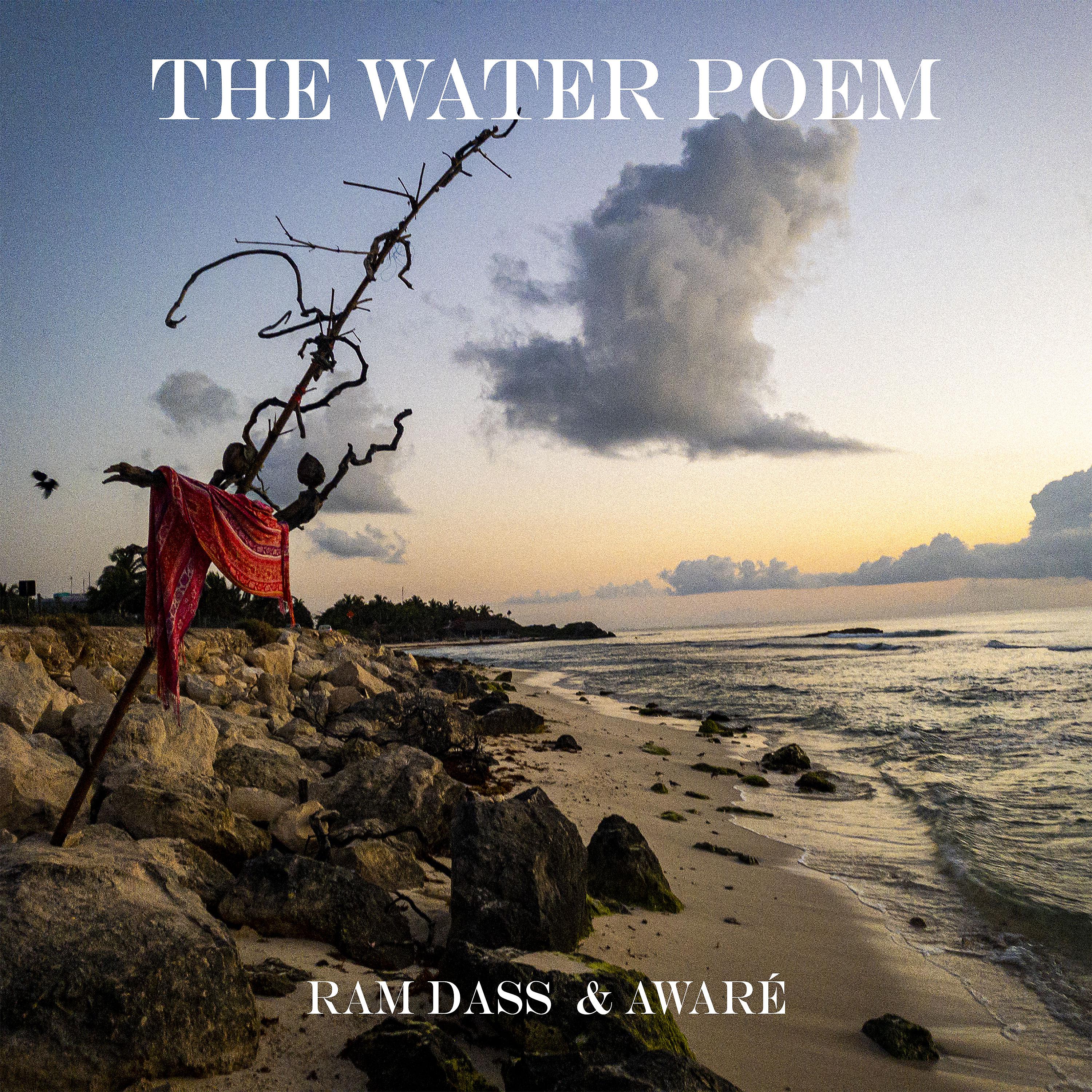 Постер альбома The Water Poem