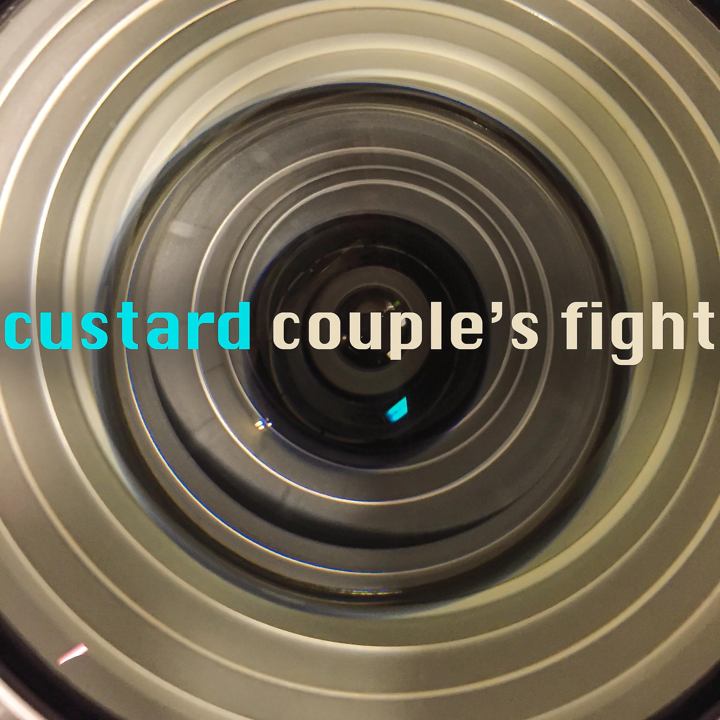 Постер альбома Couple's Fight