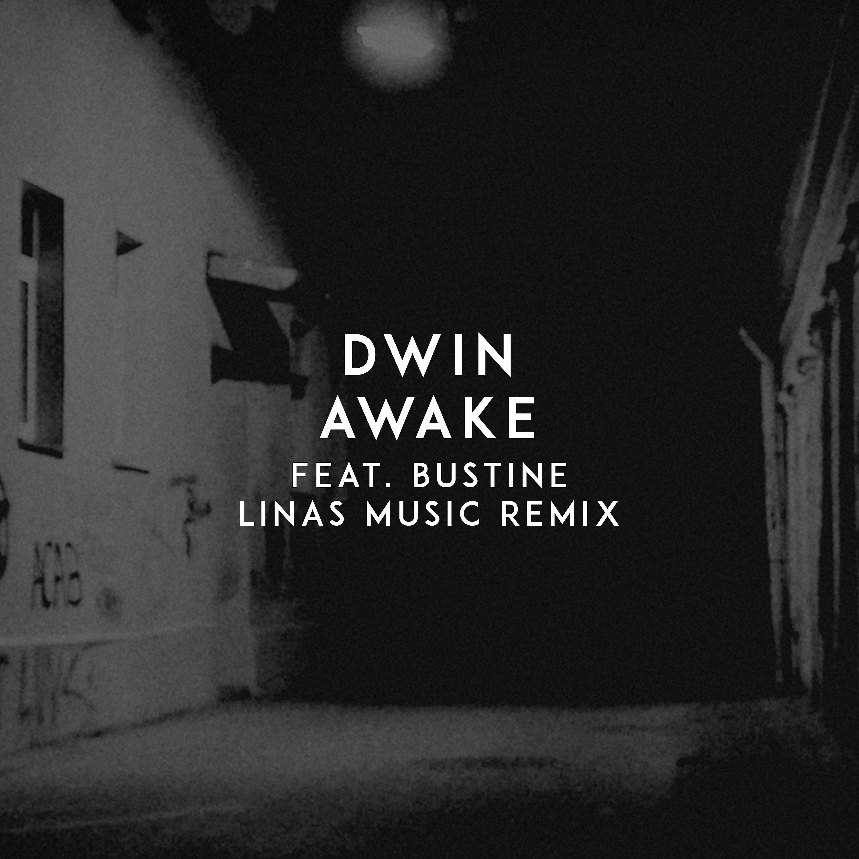 Постер альбома Awake (Linas Music Remix)