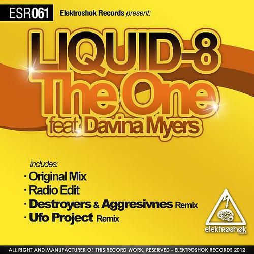 Liquid-8 - The One feat. Davina Myers (Radio Edit)