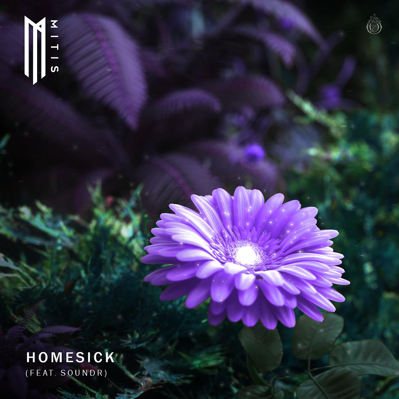 Постер альбома Homesick (feat. SOUNDR)