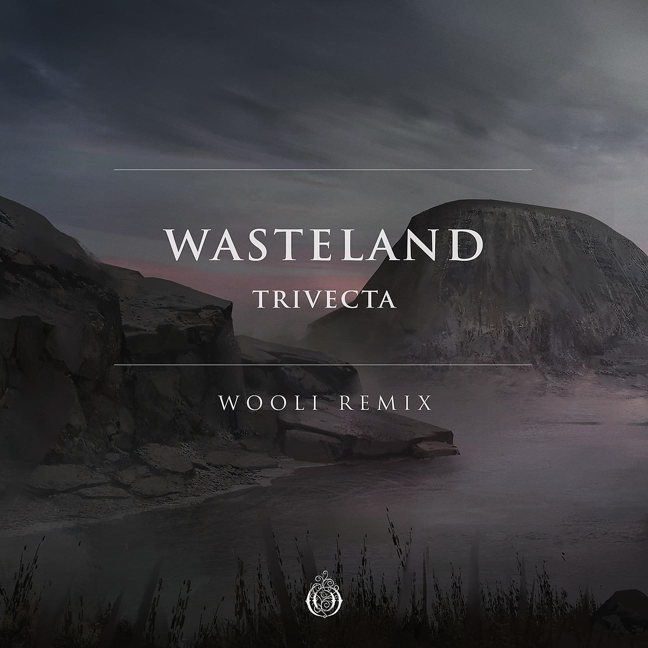 Постер альбома Wasteland (Wooli Remix)