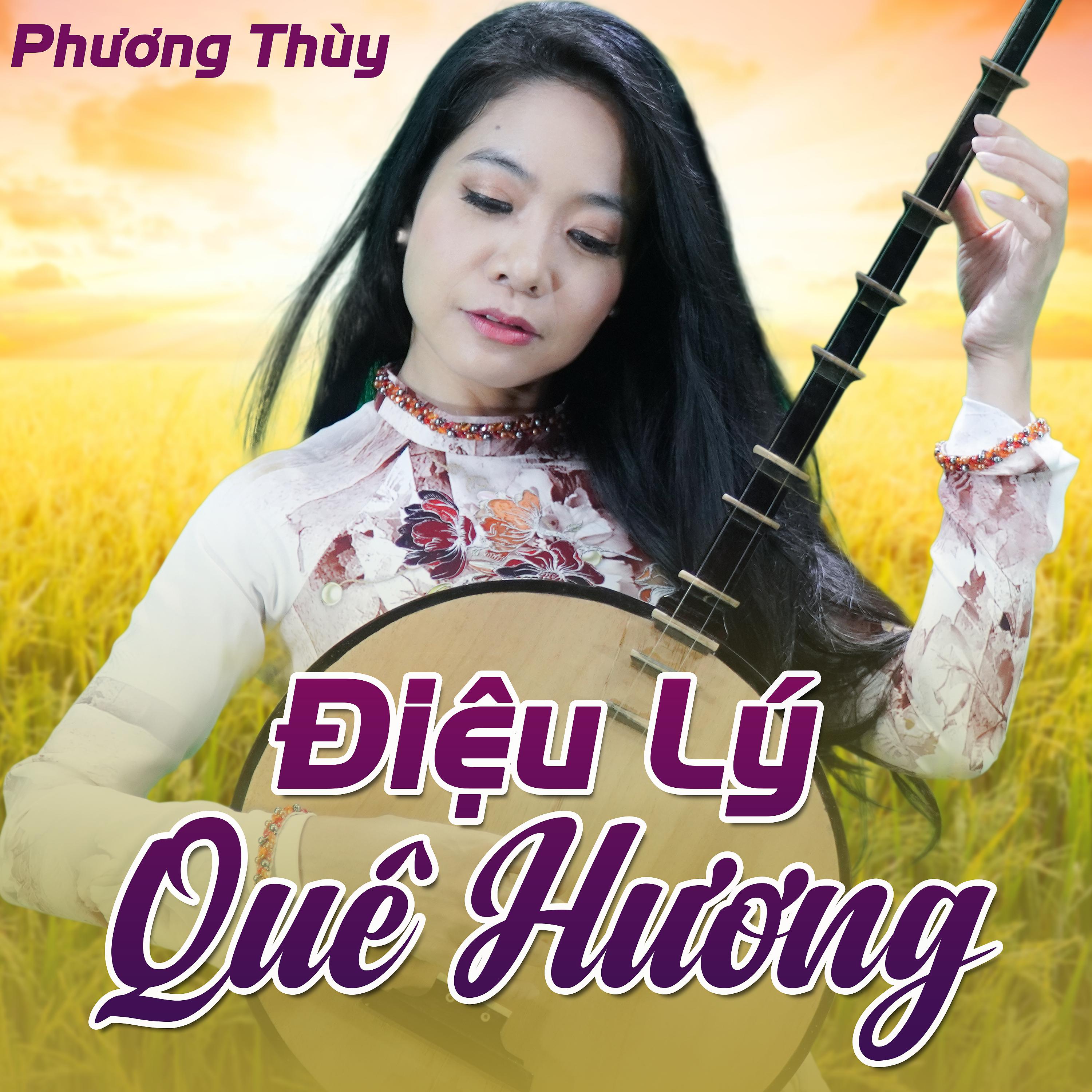 Постер альбома Điệu Lý Quê Hương