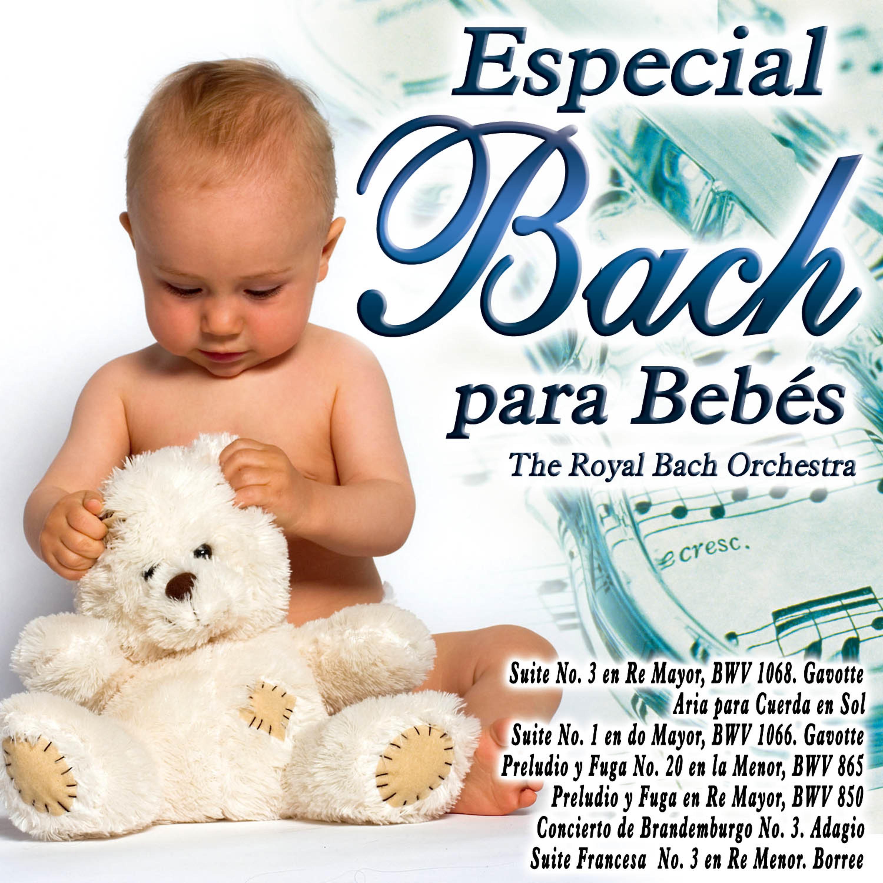 Постер альбома Especial Bach para Bebes