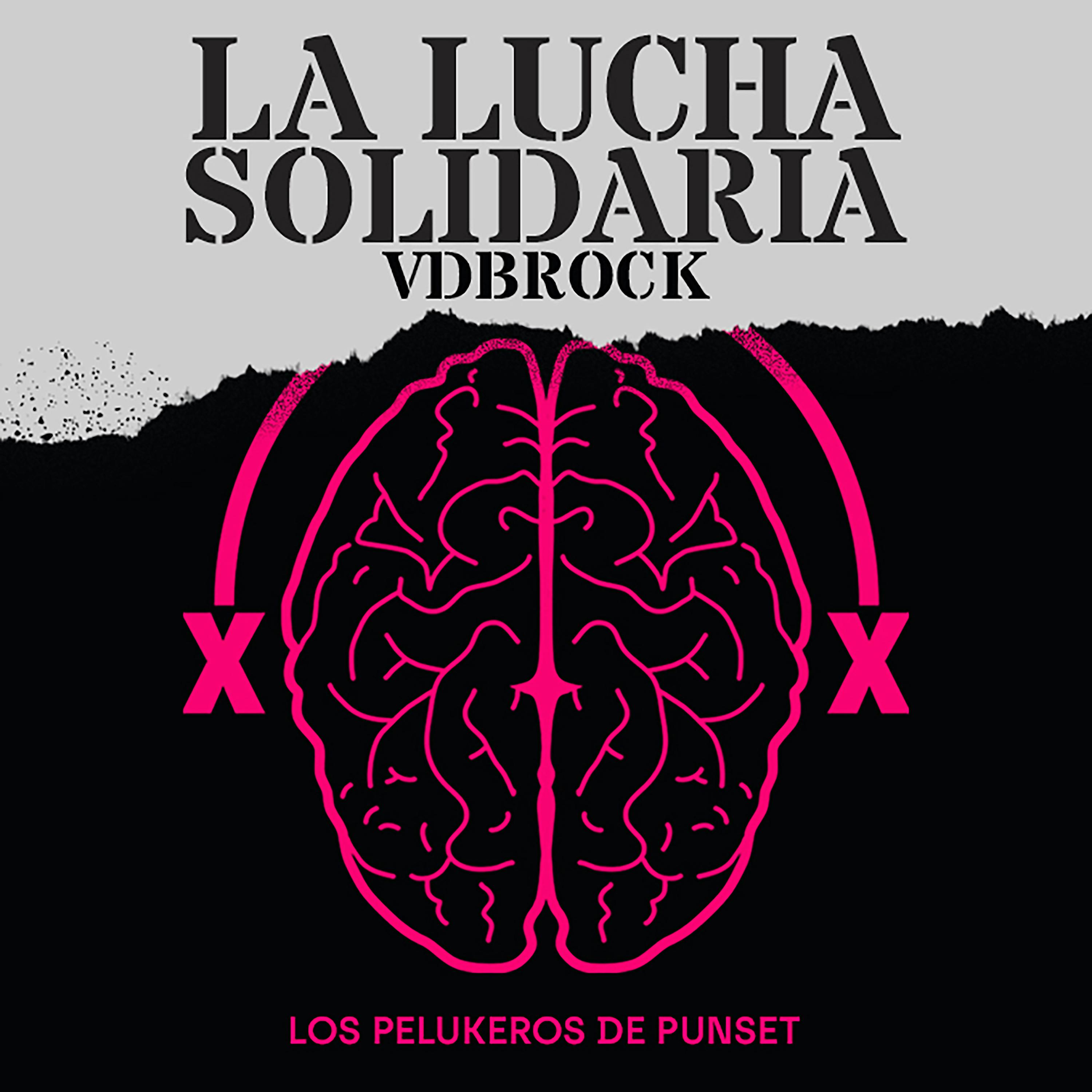 Постер альбома La Lucha Solidaria (VDBROCK)