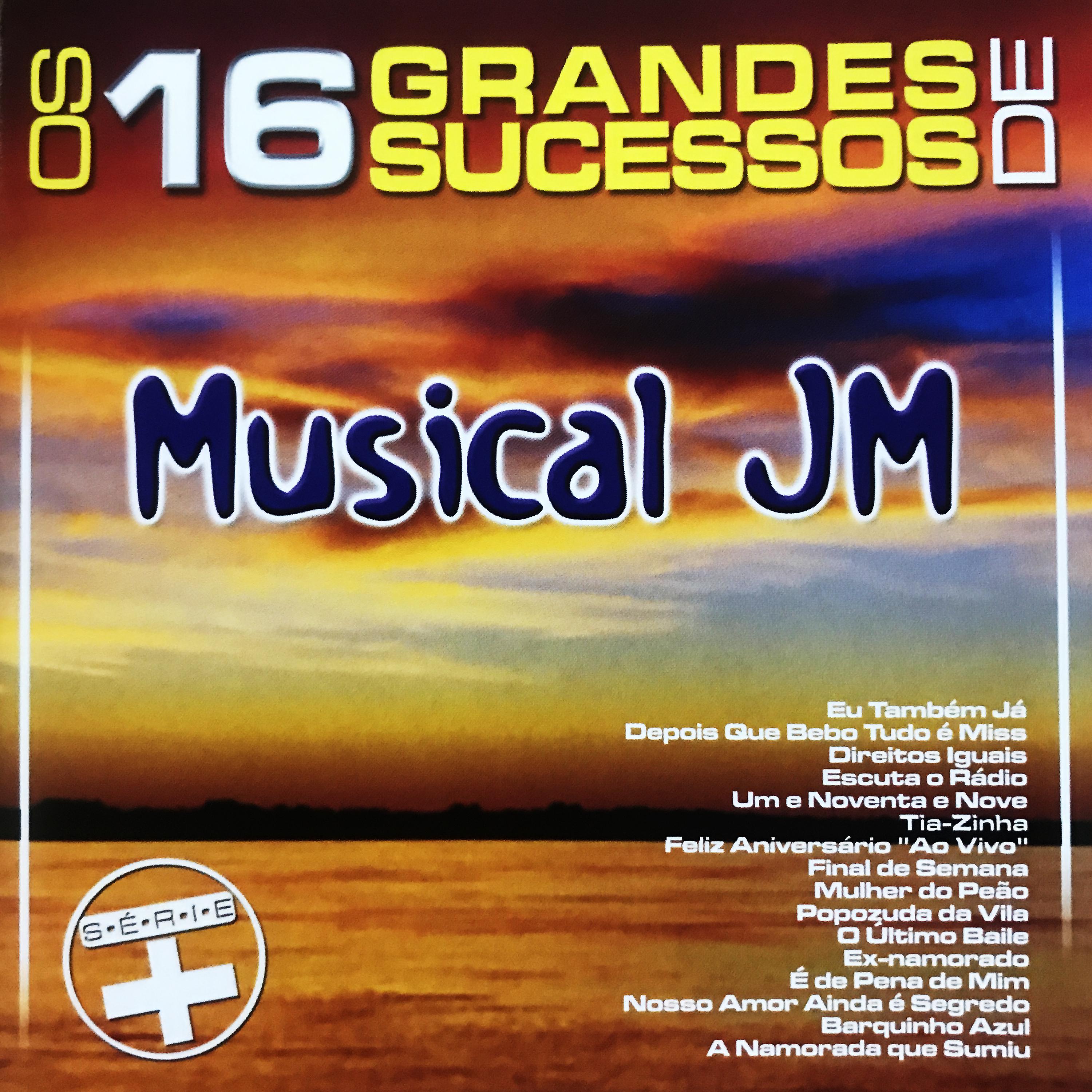 Постер альбома Os 16 Grandes Sucessos de Musical JM - Série +