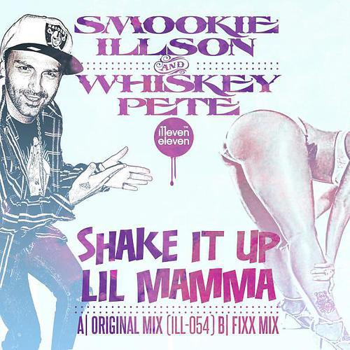 Постер альбома Shake It Up Lil Mama