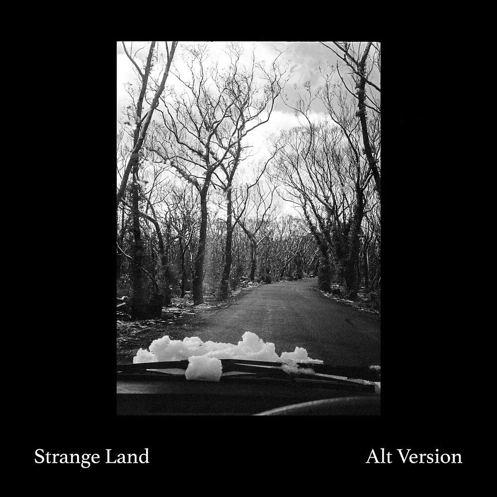 Постер альбома Strange Land