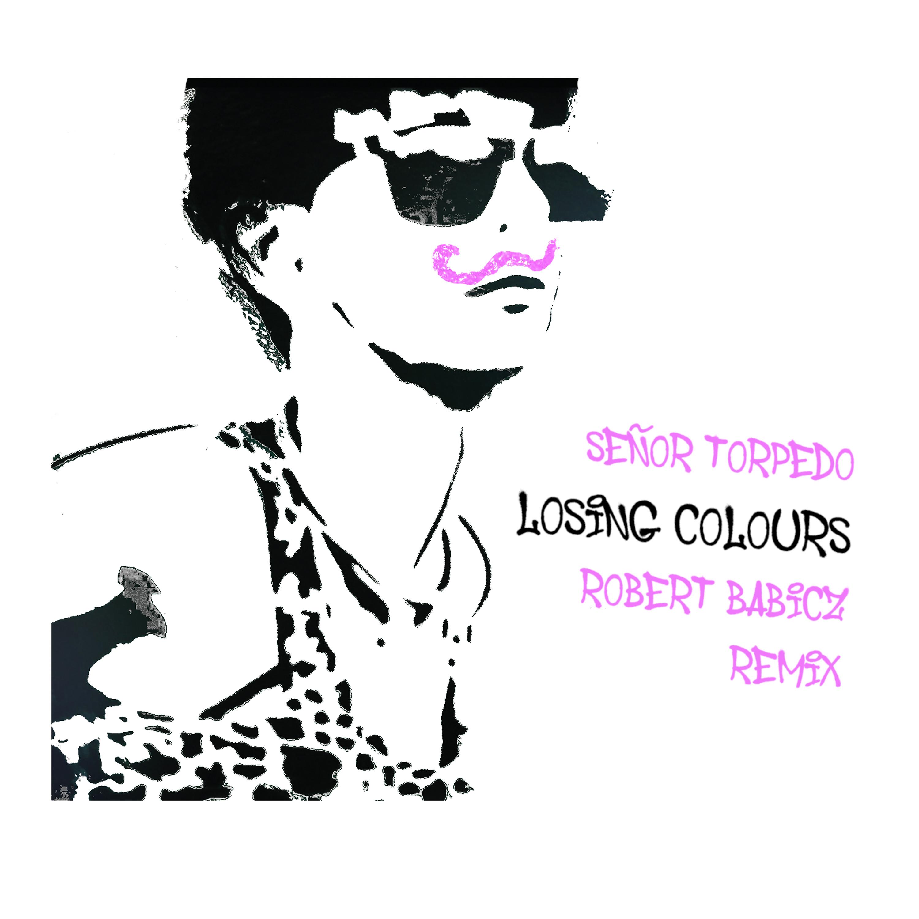 Постер альбома Losing Colours (Robert Babicz Remix)