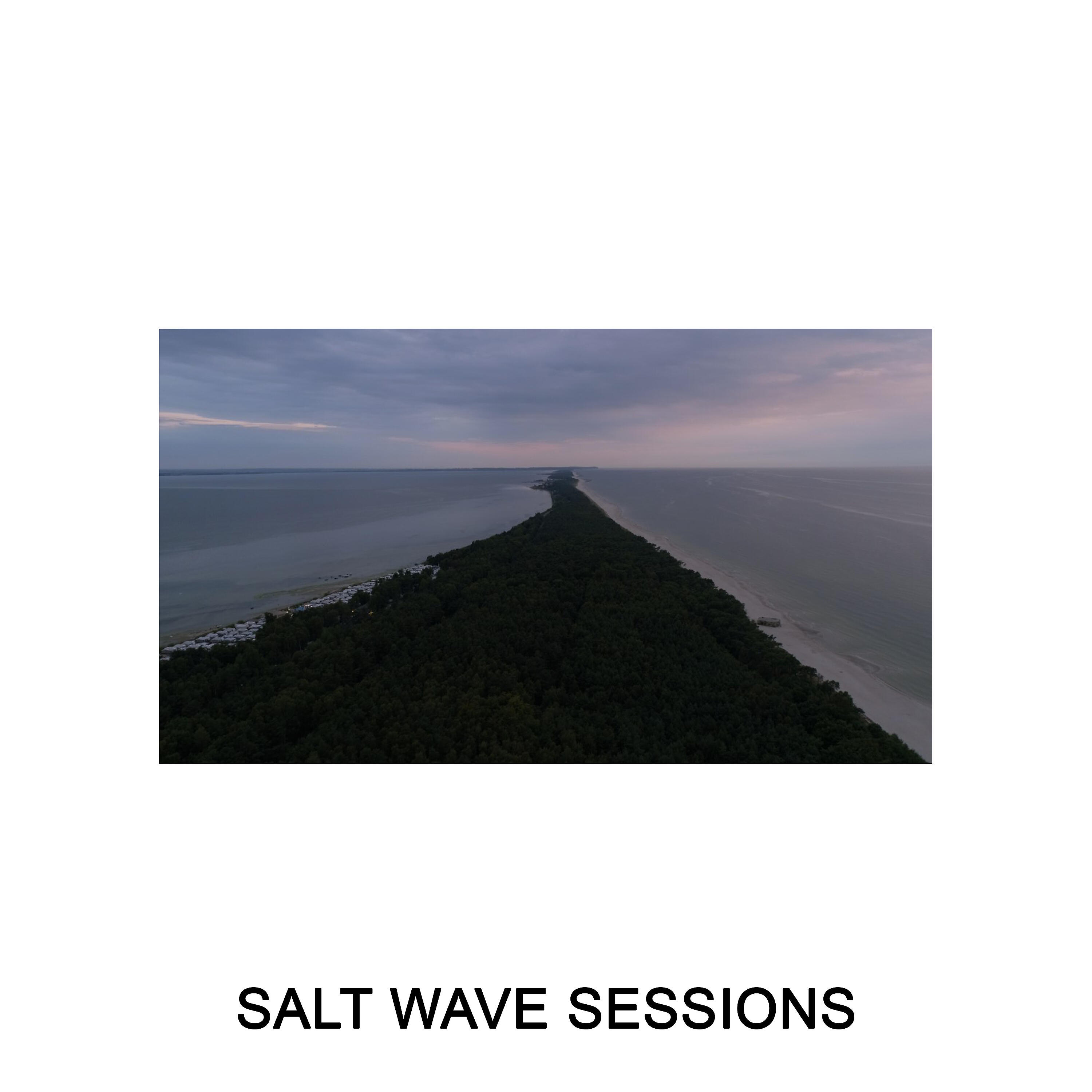 Radosław La Giang Krzyżanowski - International Landscapes (Salt Wave Sessions Version)