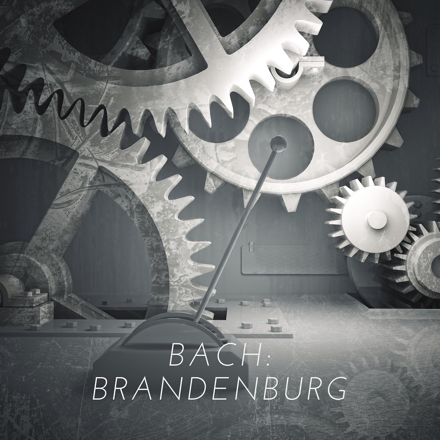 Постер альбома Bach: Brandenburg