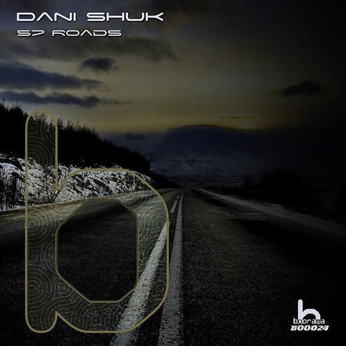 Dani Shuk - Acid Junkies