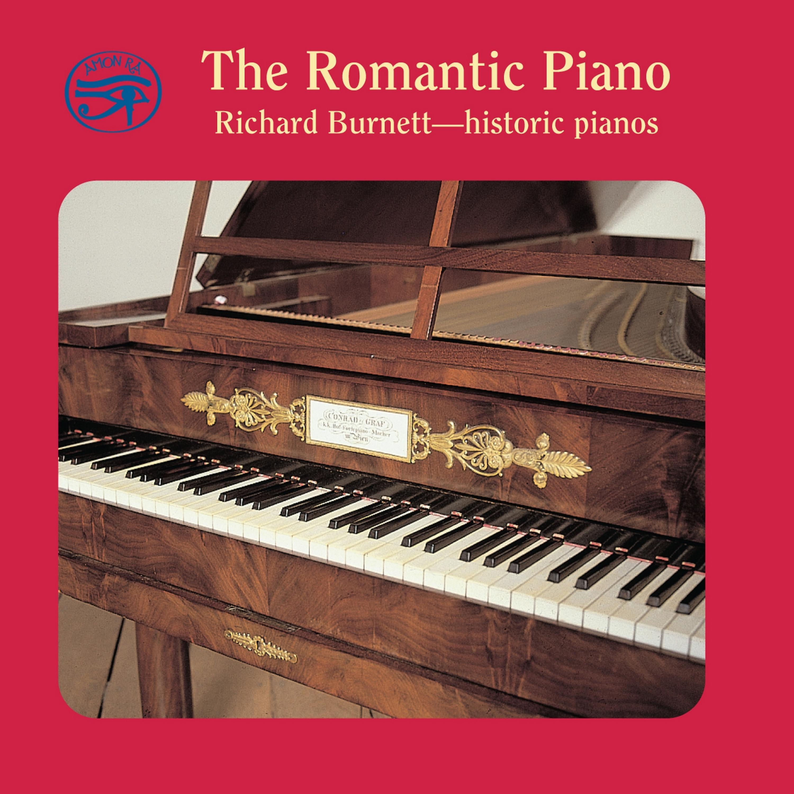 Постер альбома The Romantic Piano on Historic Pianos