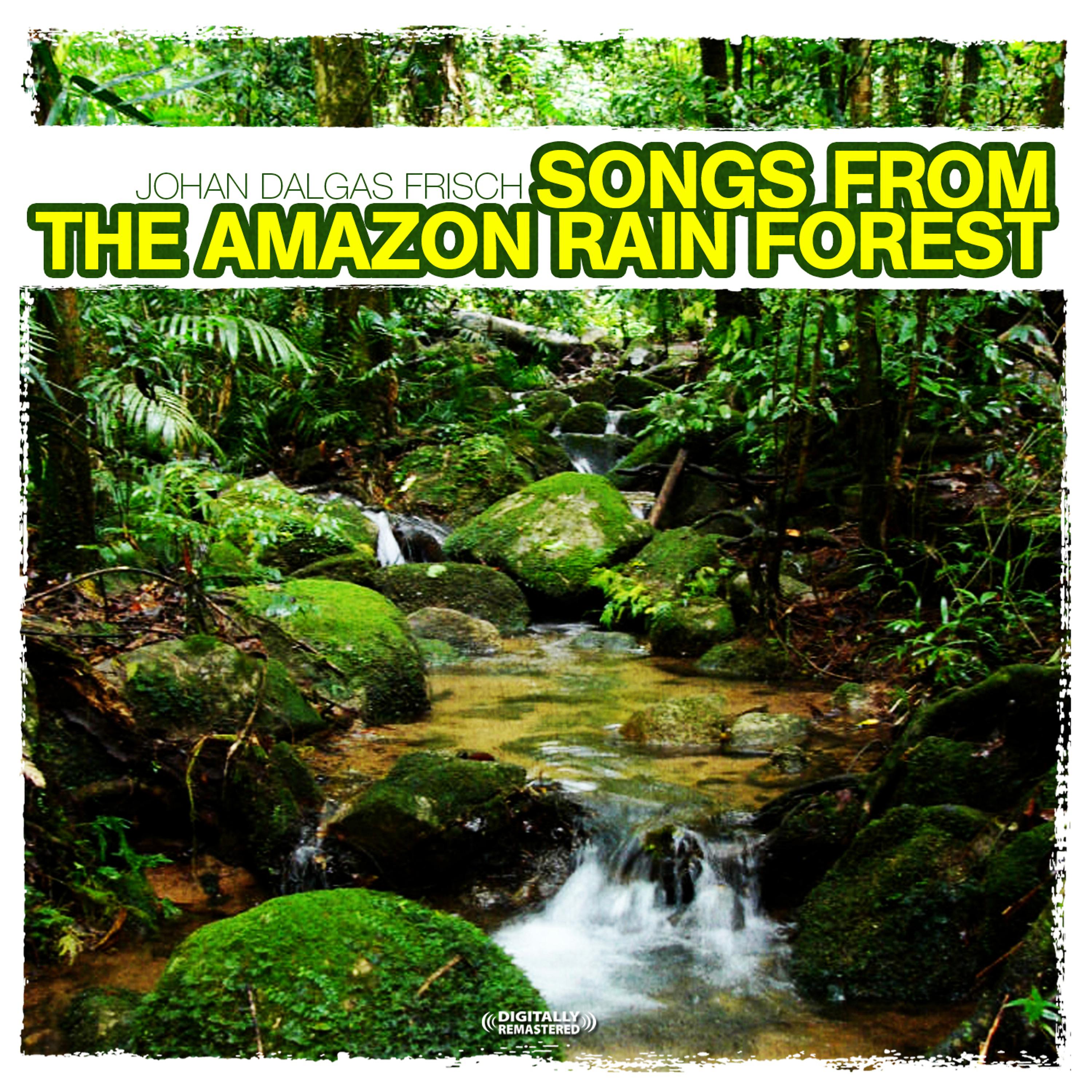 Постер альбома Songs From the Amazon Rain Forest (Digitally Remastered)