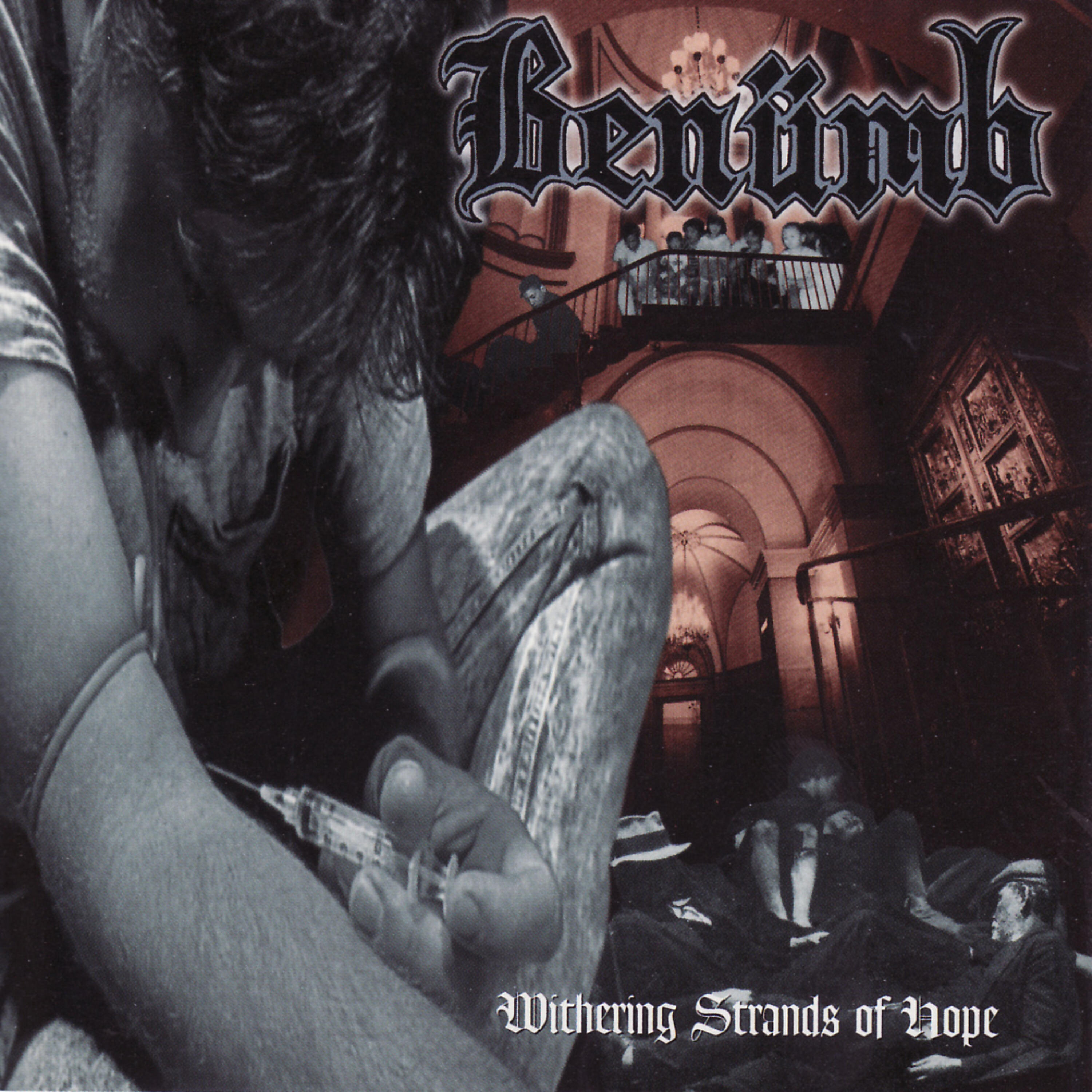 Benümb - Abundant Knowledge, Infinite Stupidity