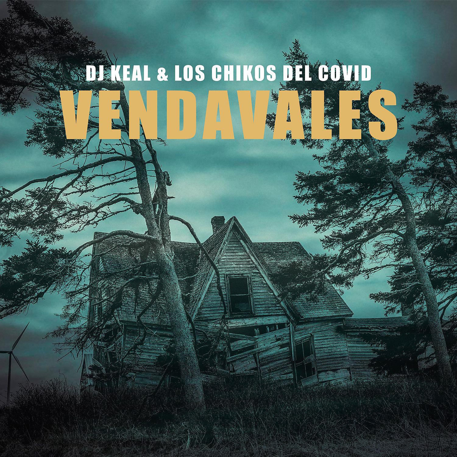 Постер альбома Vendavales