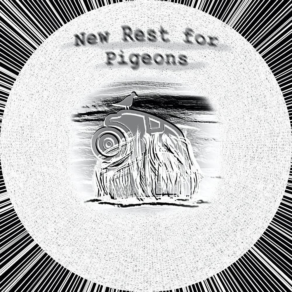 Постер альбома New Rest for Pigeons