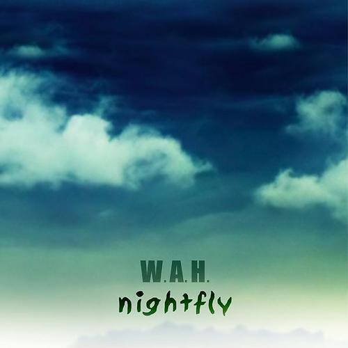 Постер альбома Nightfly
