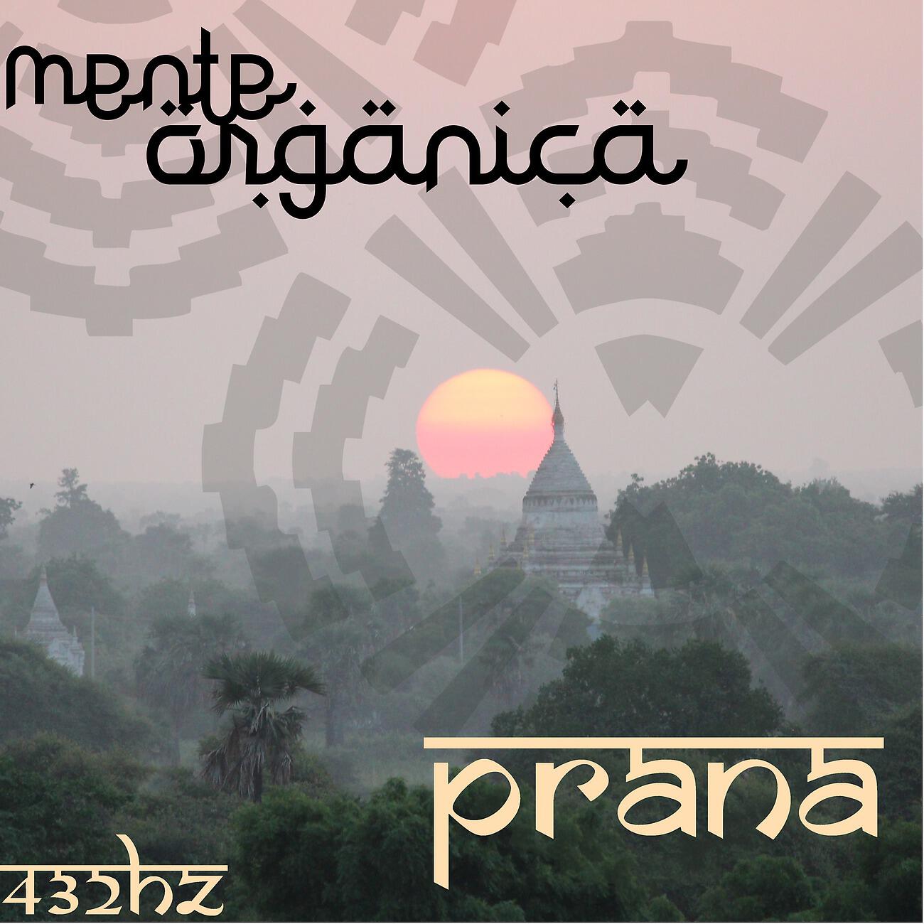 Mente Orgánica - Das