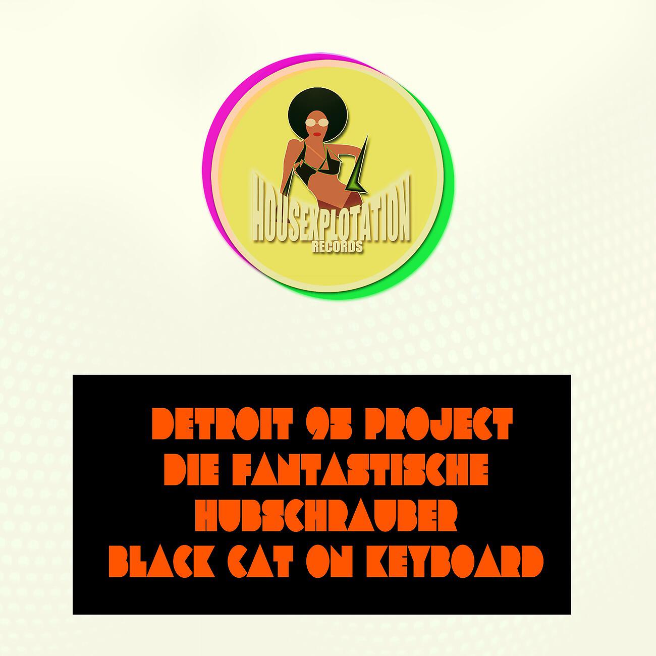 Detroit 95 Project - Black Cat on Keyboard