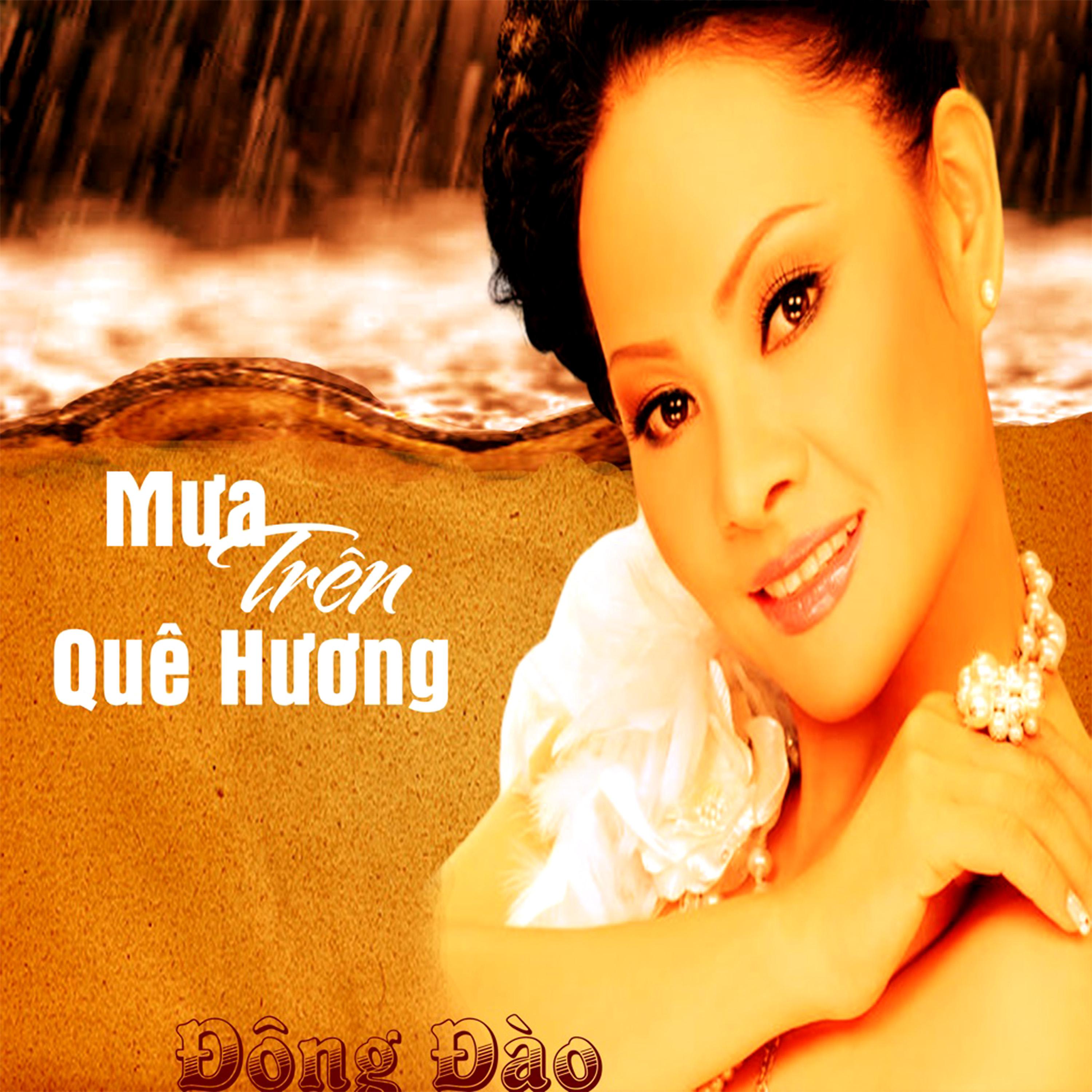 Постер альбома Mưa Trên Quê Hương