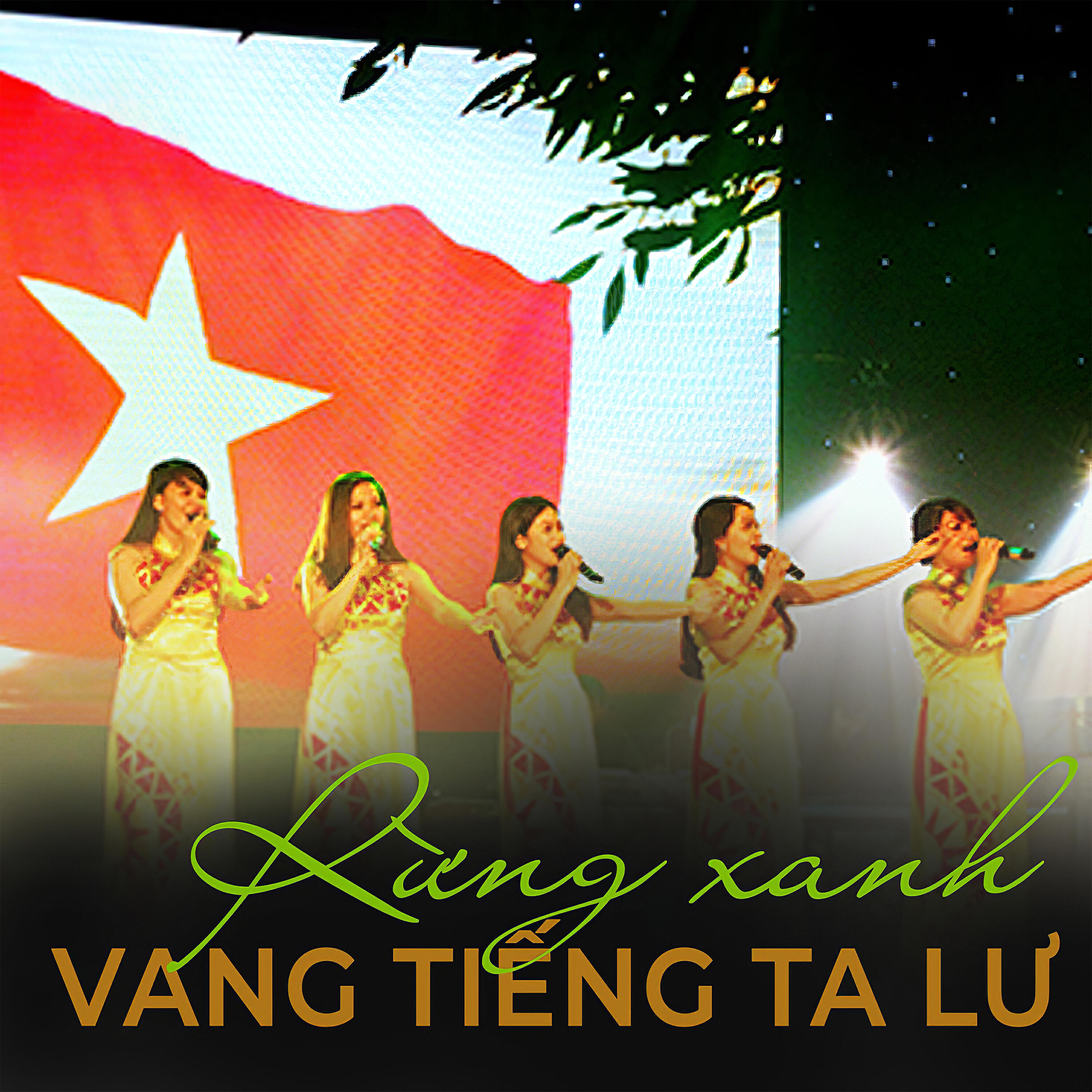 Mai Tuấn - Đêm Trường Sơn nhớ Bác