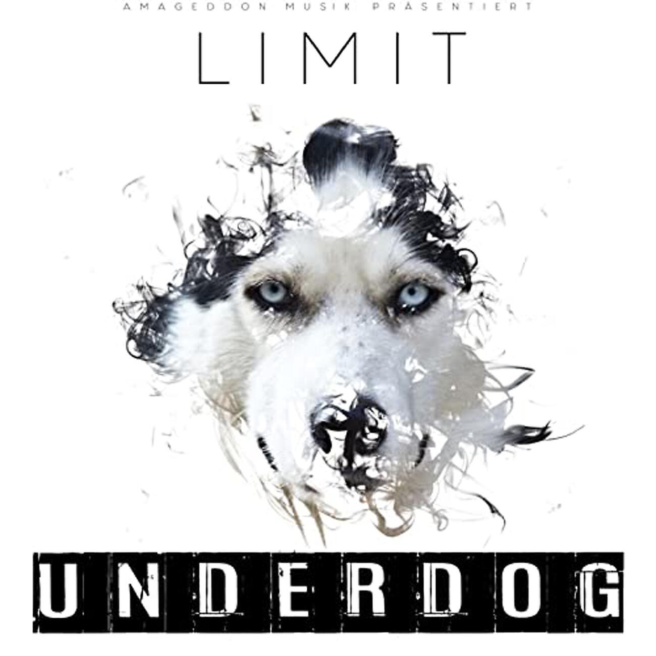 Limit - Löwe