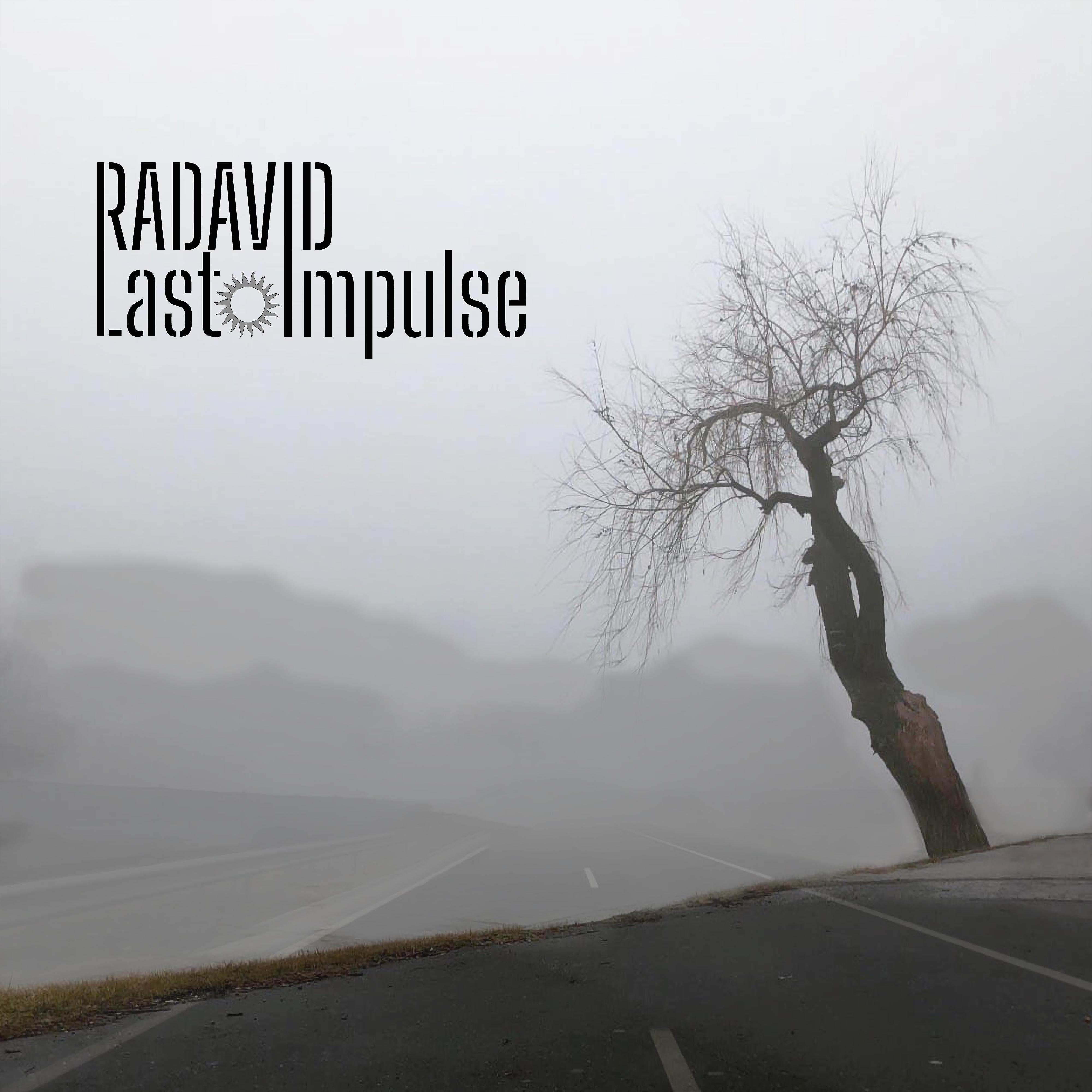 Постер альбома Last Impulse