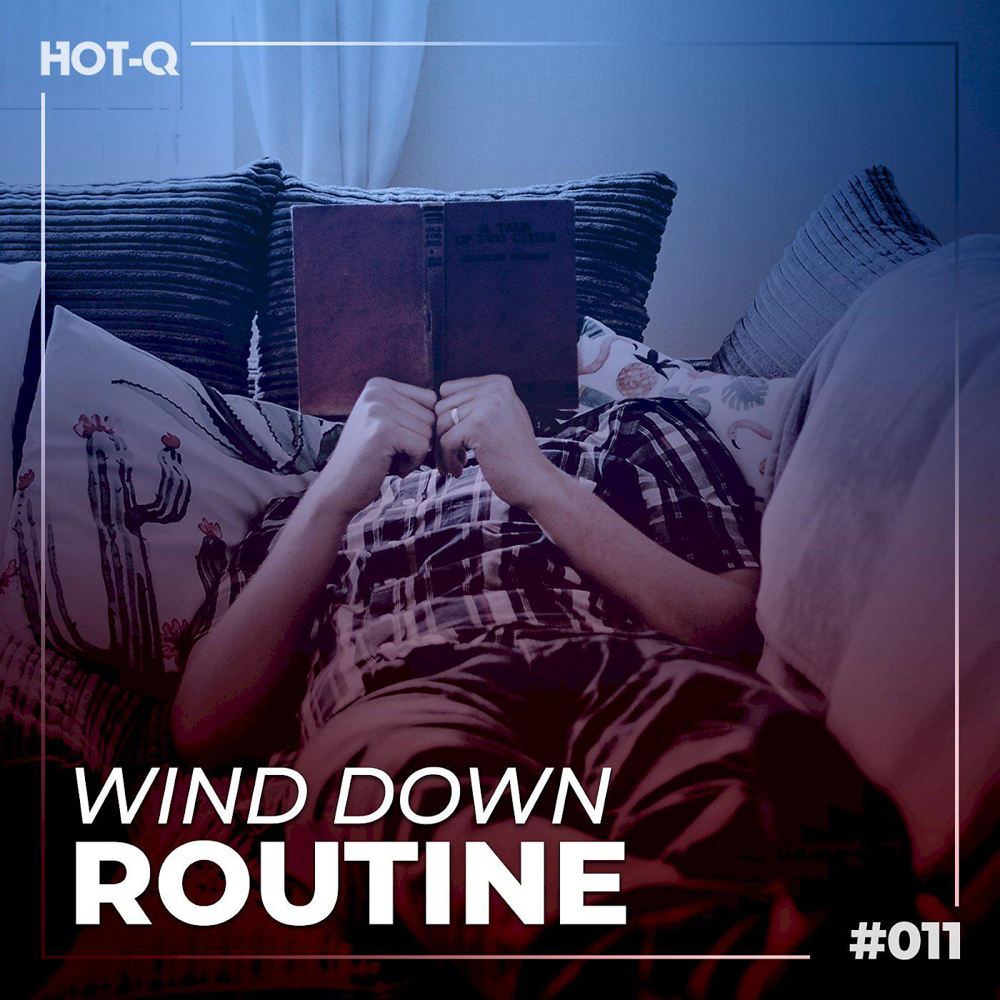 Постер альбома Wind Down Routine 011