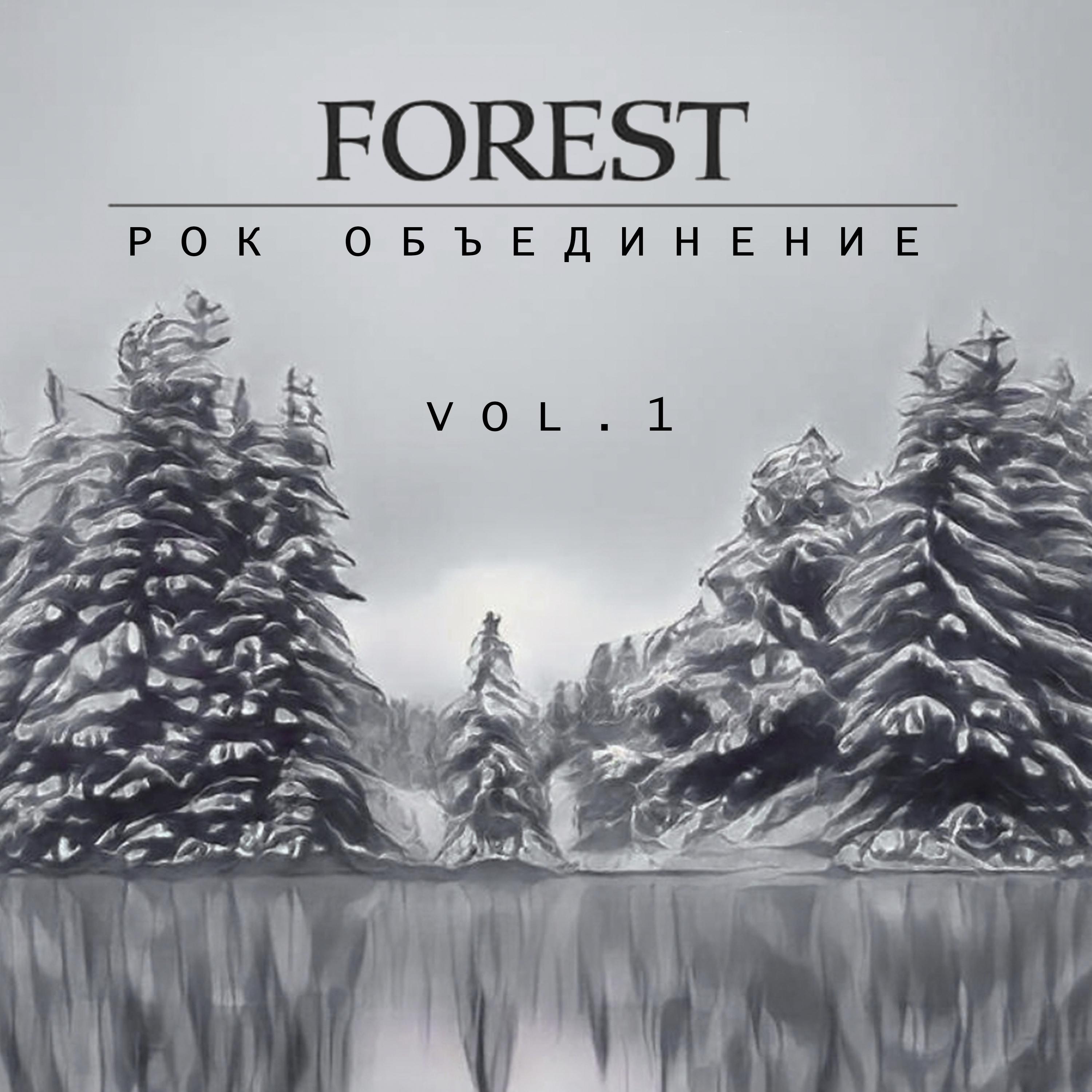 Постер альбома Рок объединение Forest, Vol. 1