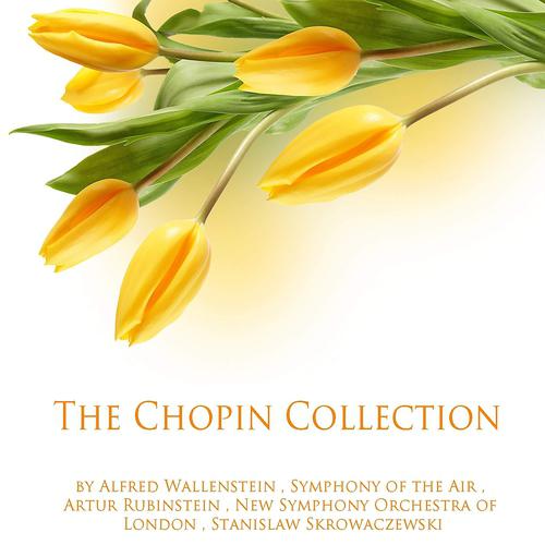 Постер альбома The Chopin Collection