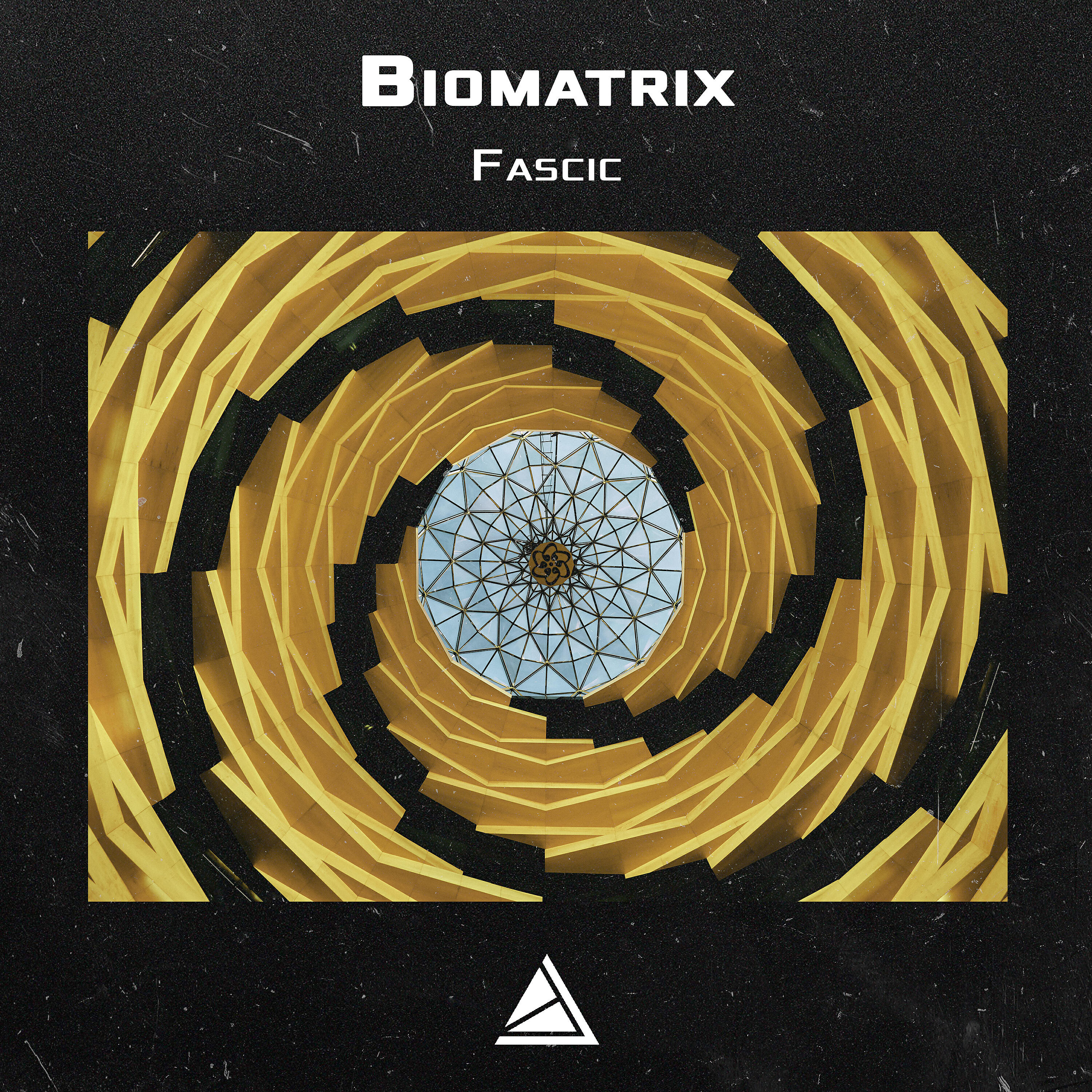 Biomatrix - Fascic