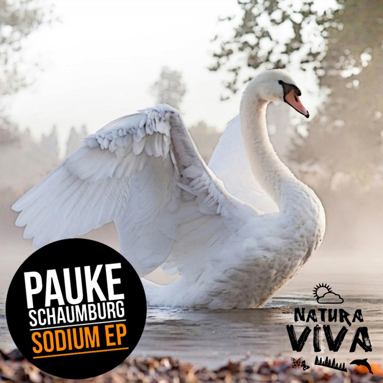 Pauke Schaumburg - Two Places