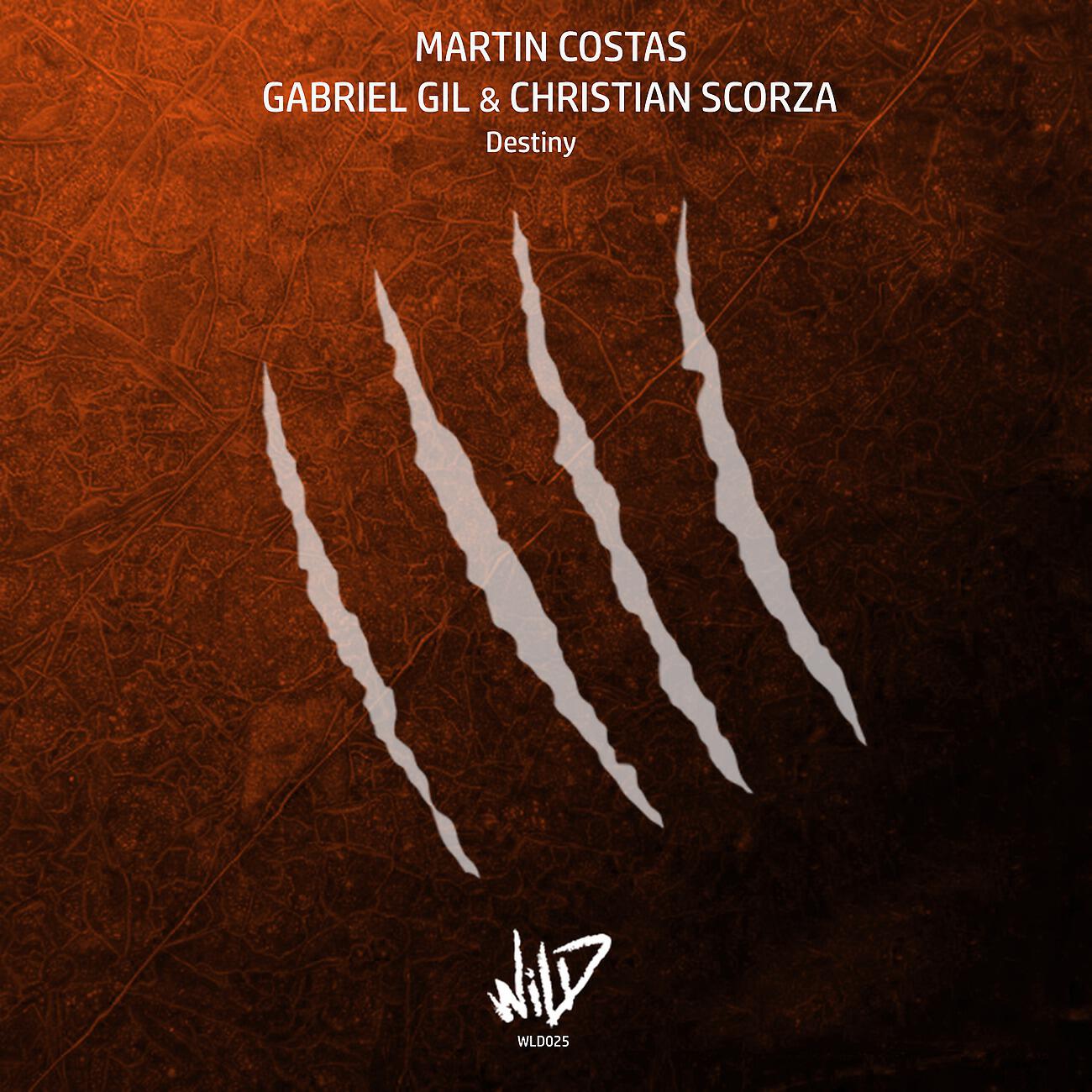 Martin Costas - Connection MGC